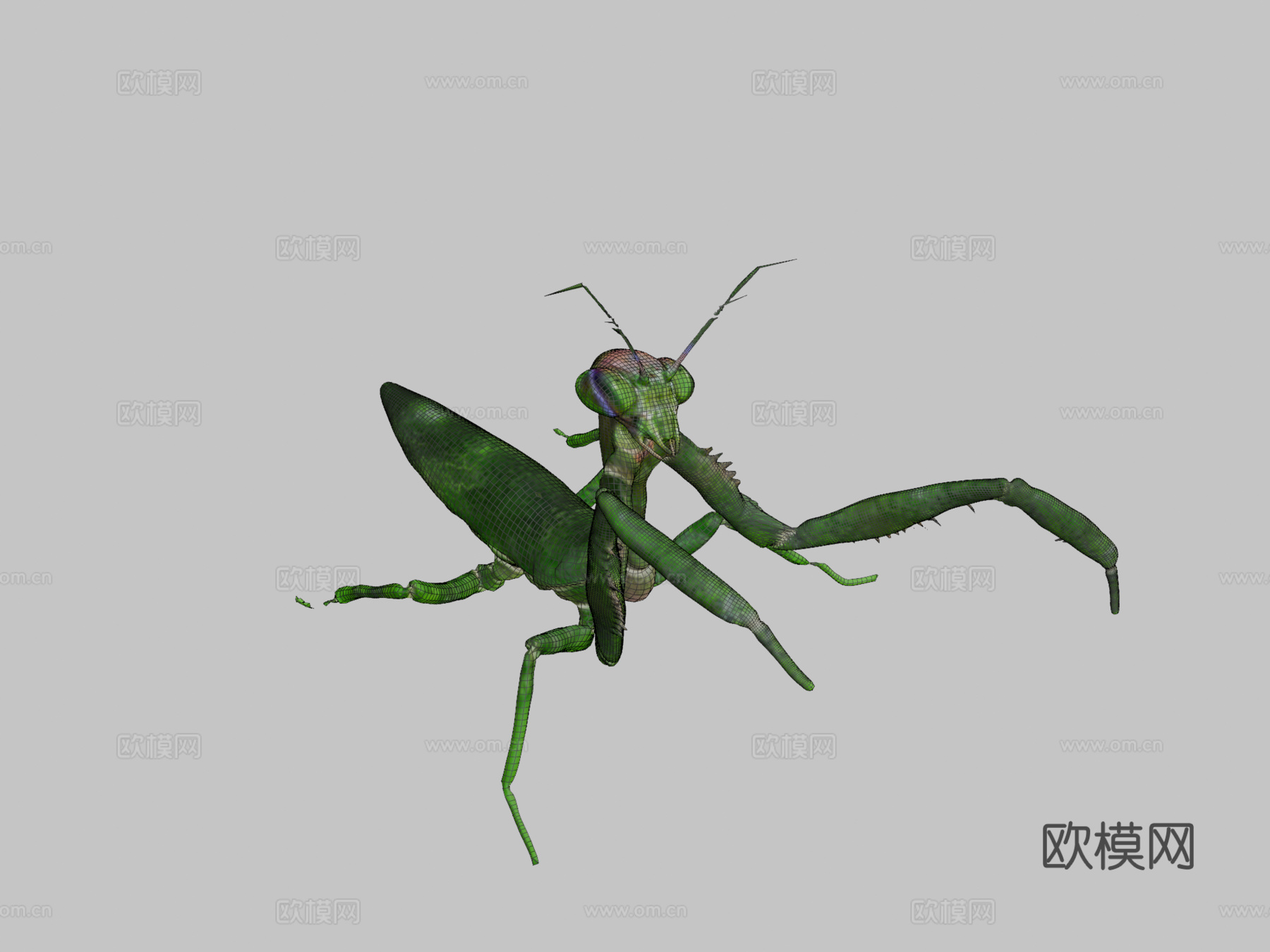 螳螂3d模型