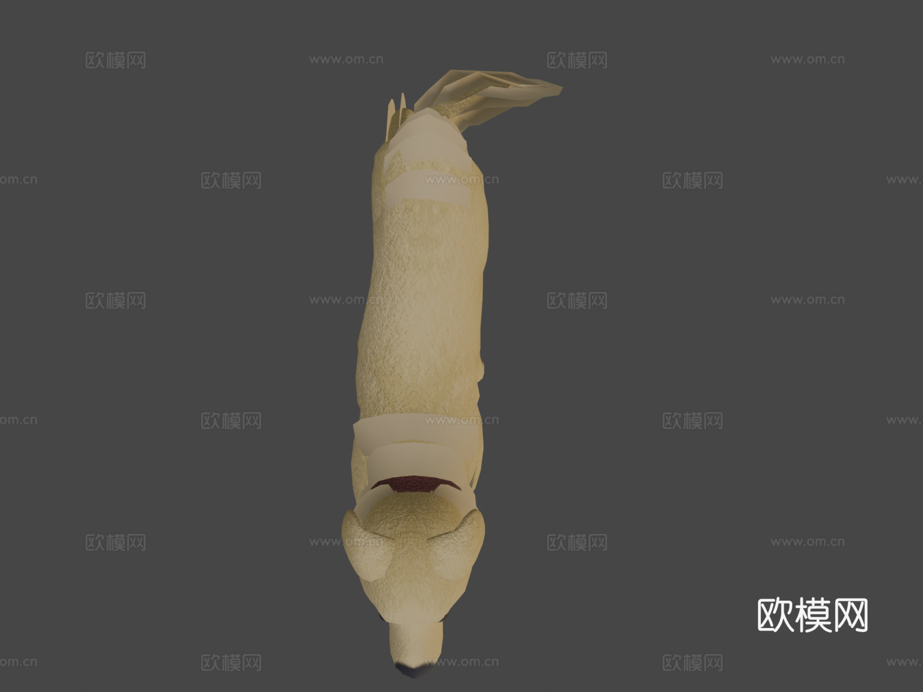 灯中狗3d模型