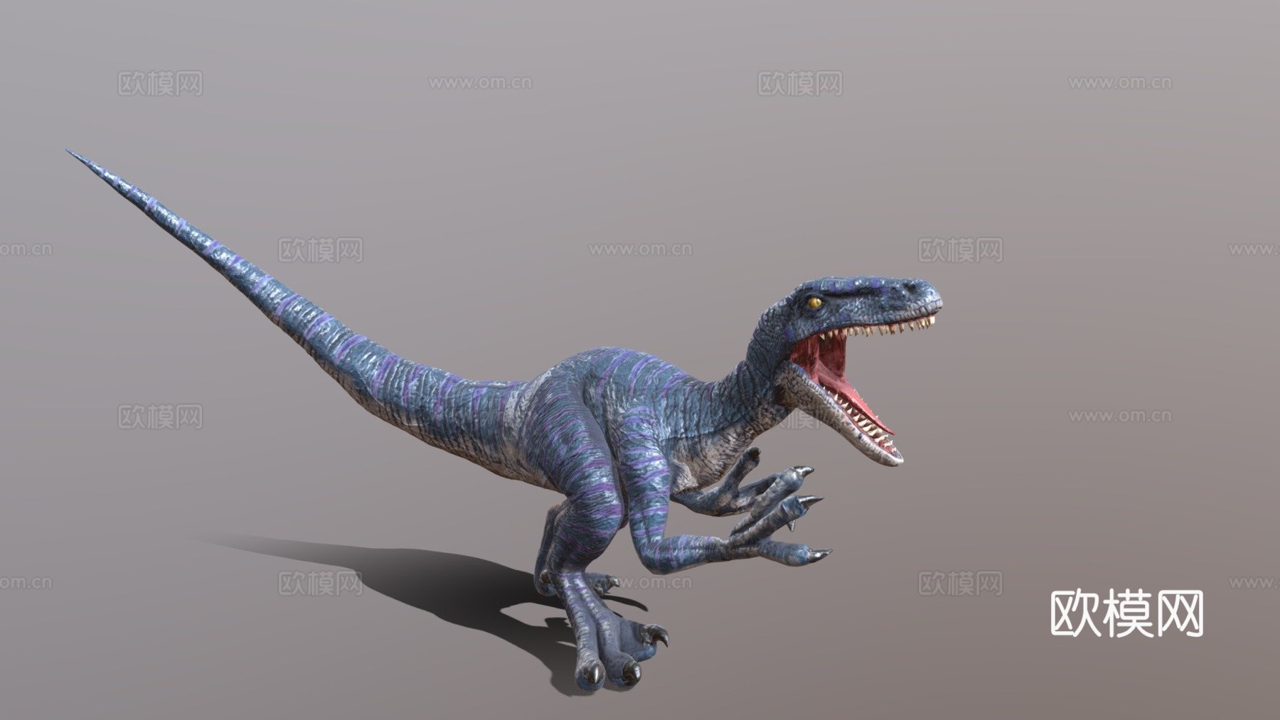 迅猛龙3d模型