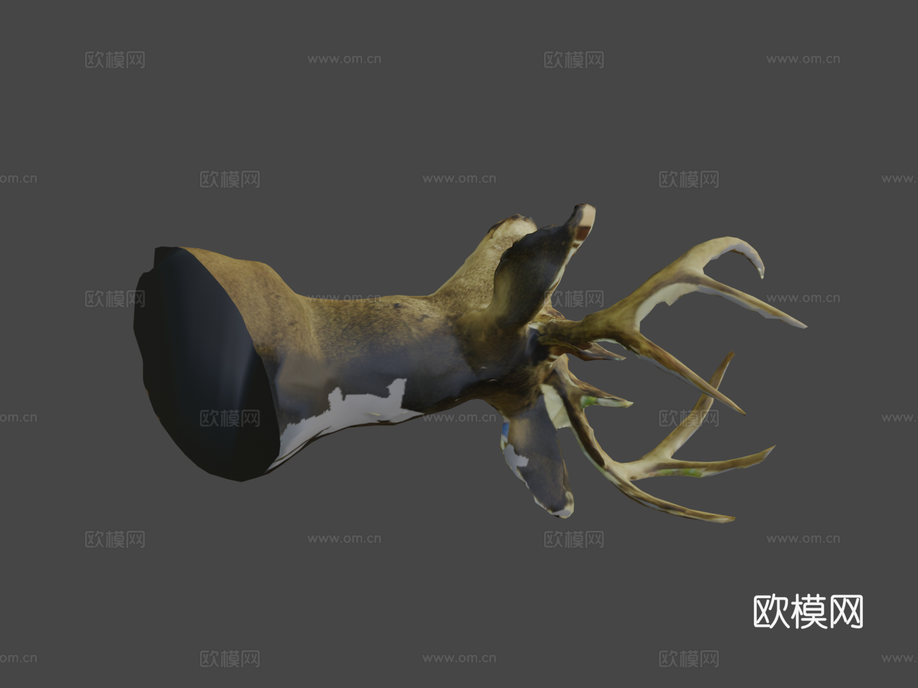 鹿首3d模型
