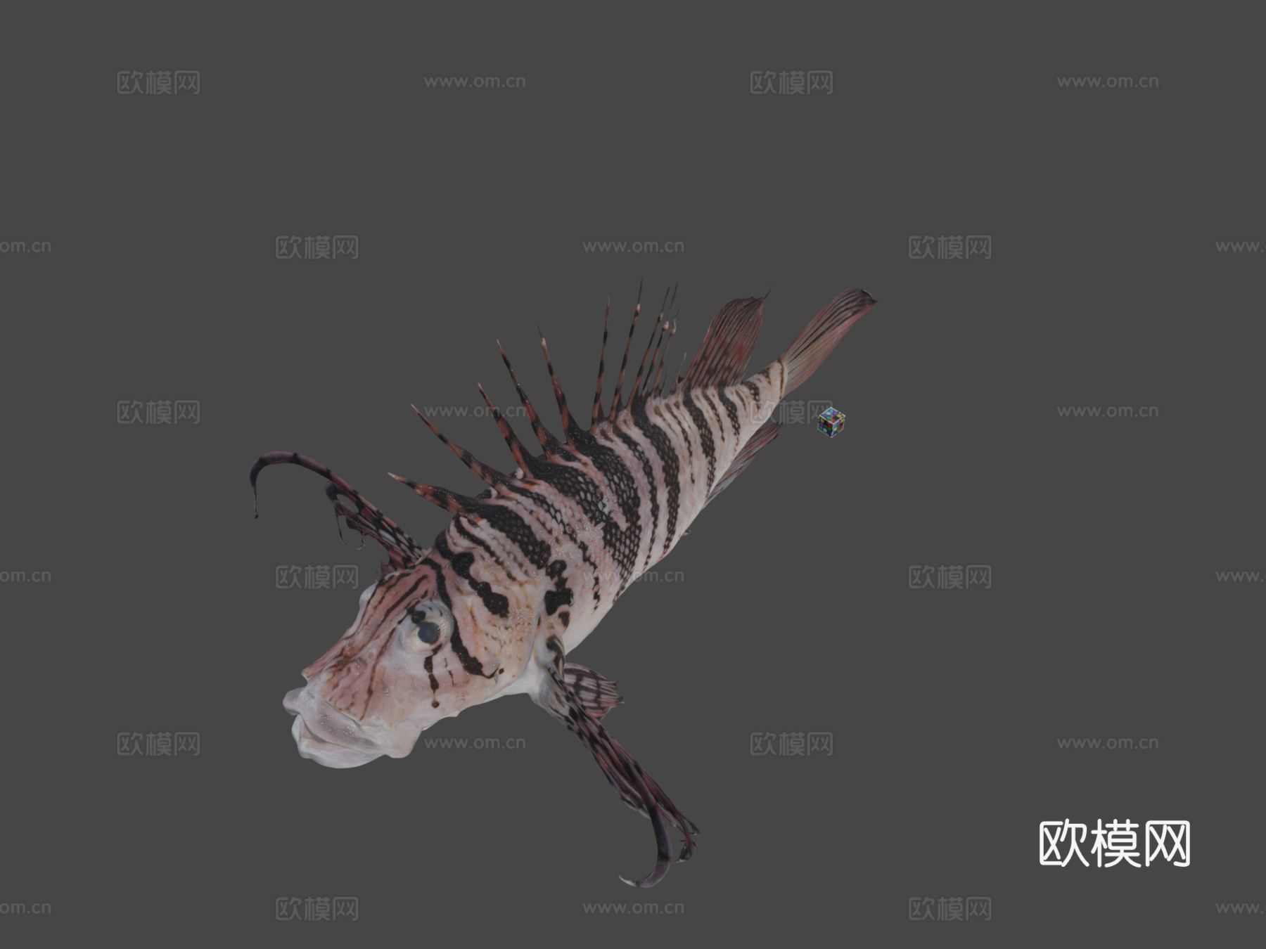 CC0蓑鲉?月神狮子鱼3d模型