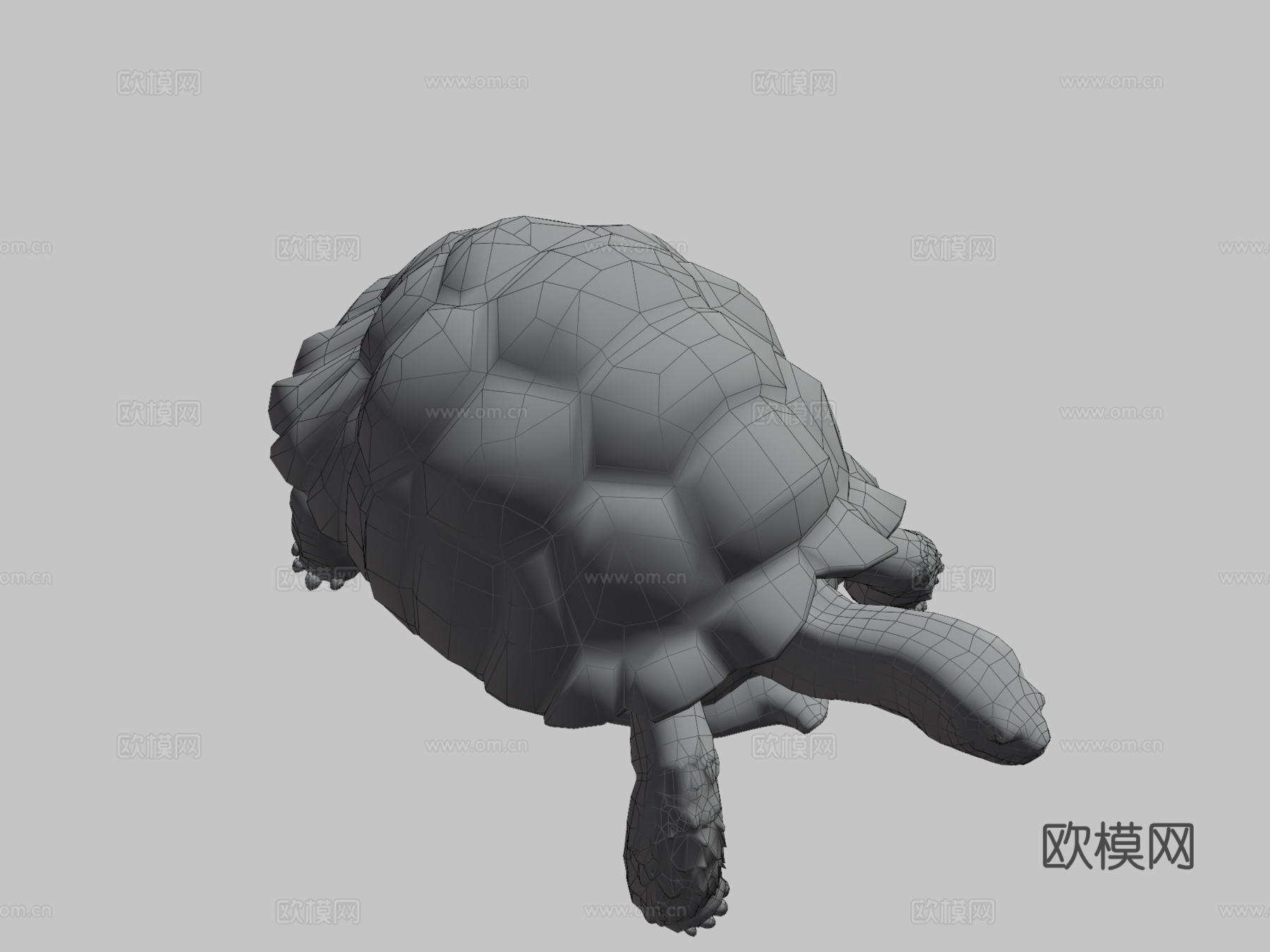 苏卡达陆龟01号3d模型