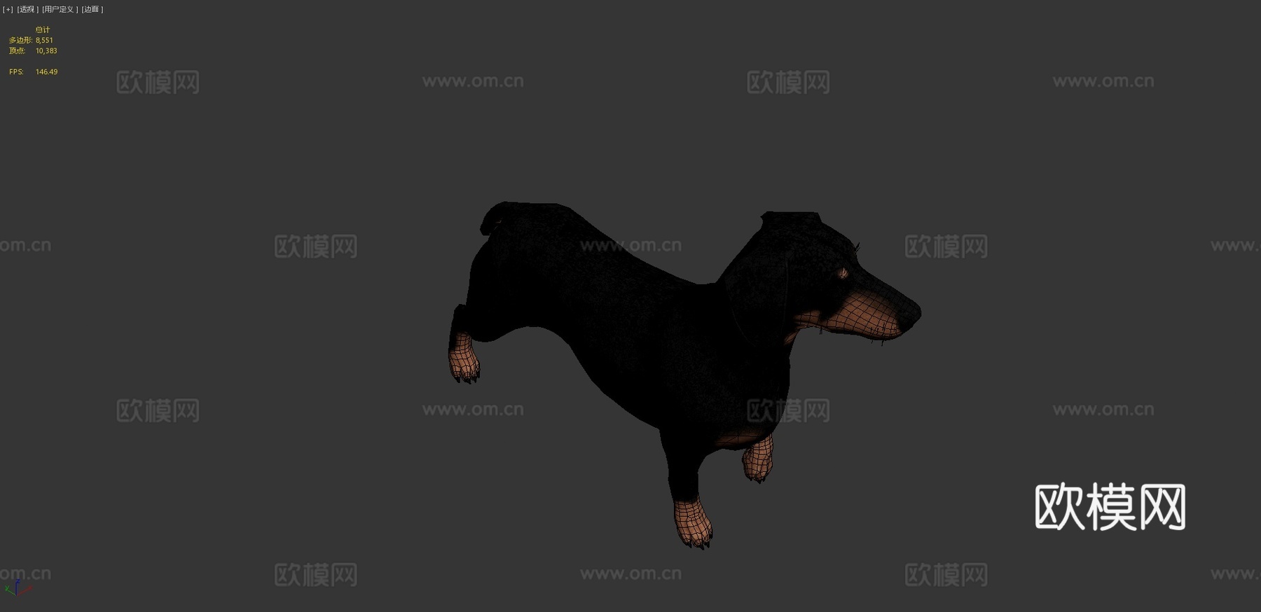 腊肠犬3d模型