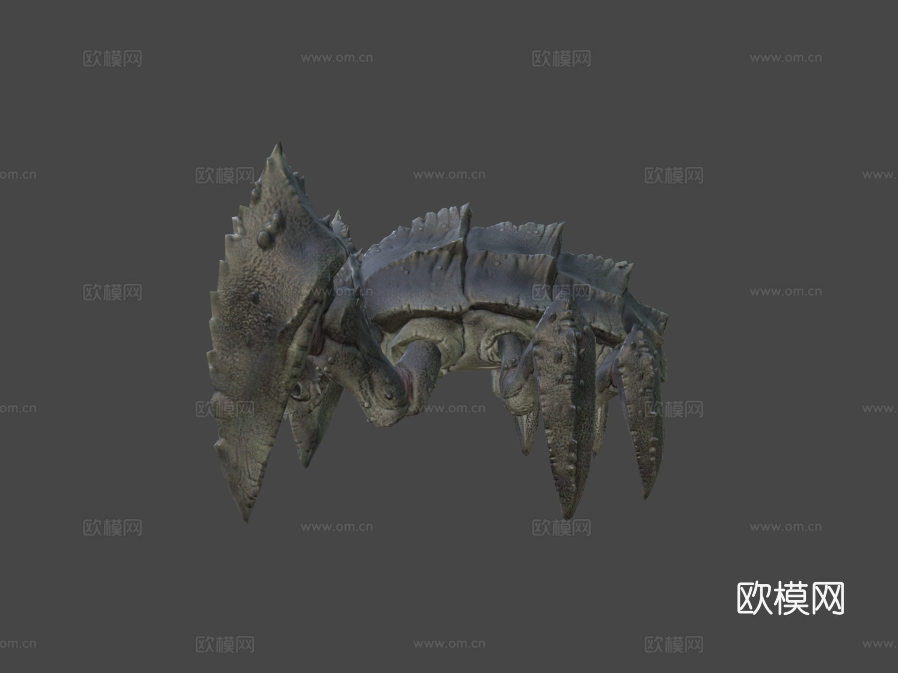 奥尼西德斯动画3d模型
