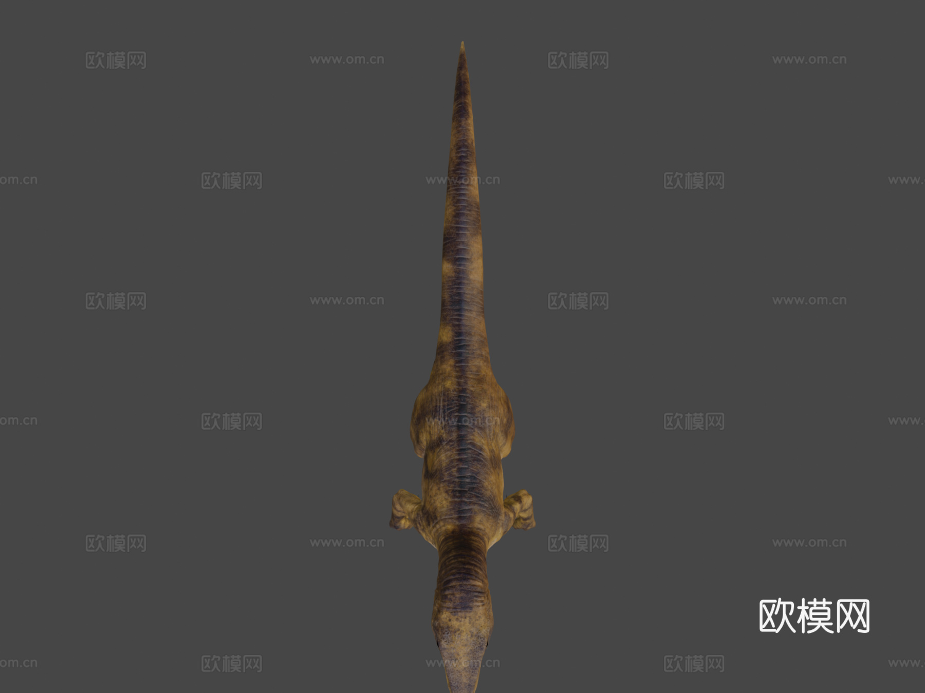 迅猛龙3d模型