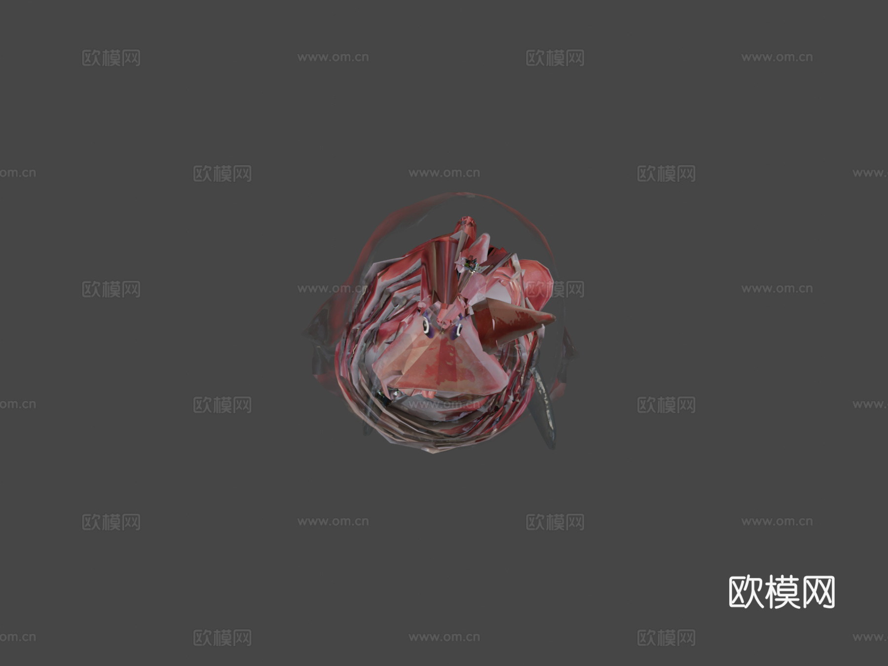 螯肢动物3d模型