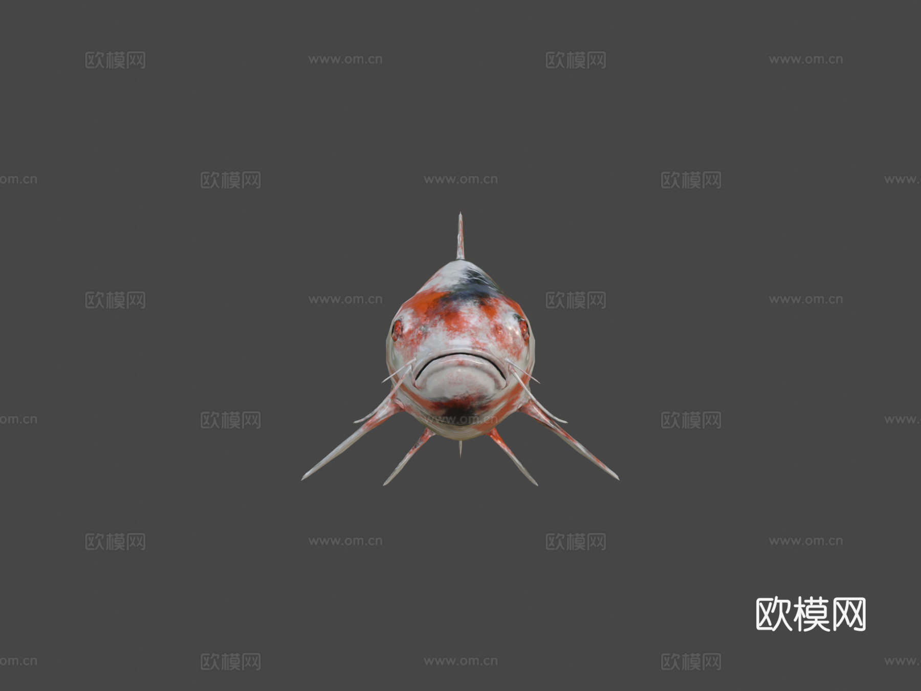 锦鲤3d模型
