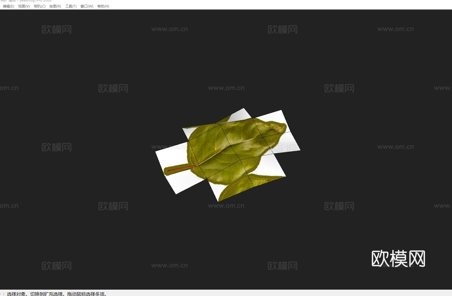 落叶 树叶 植物su模型