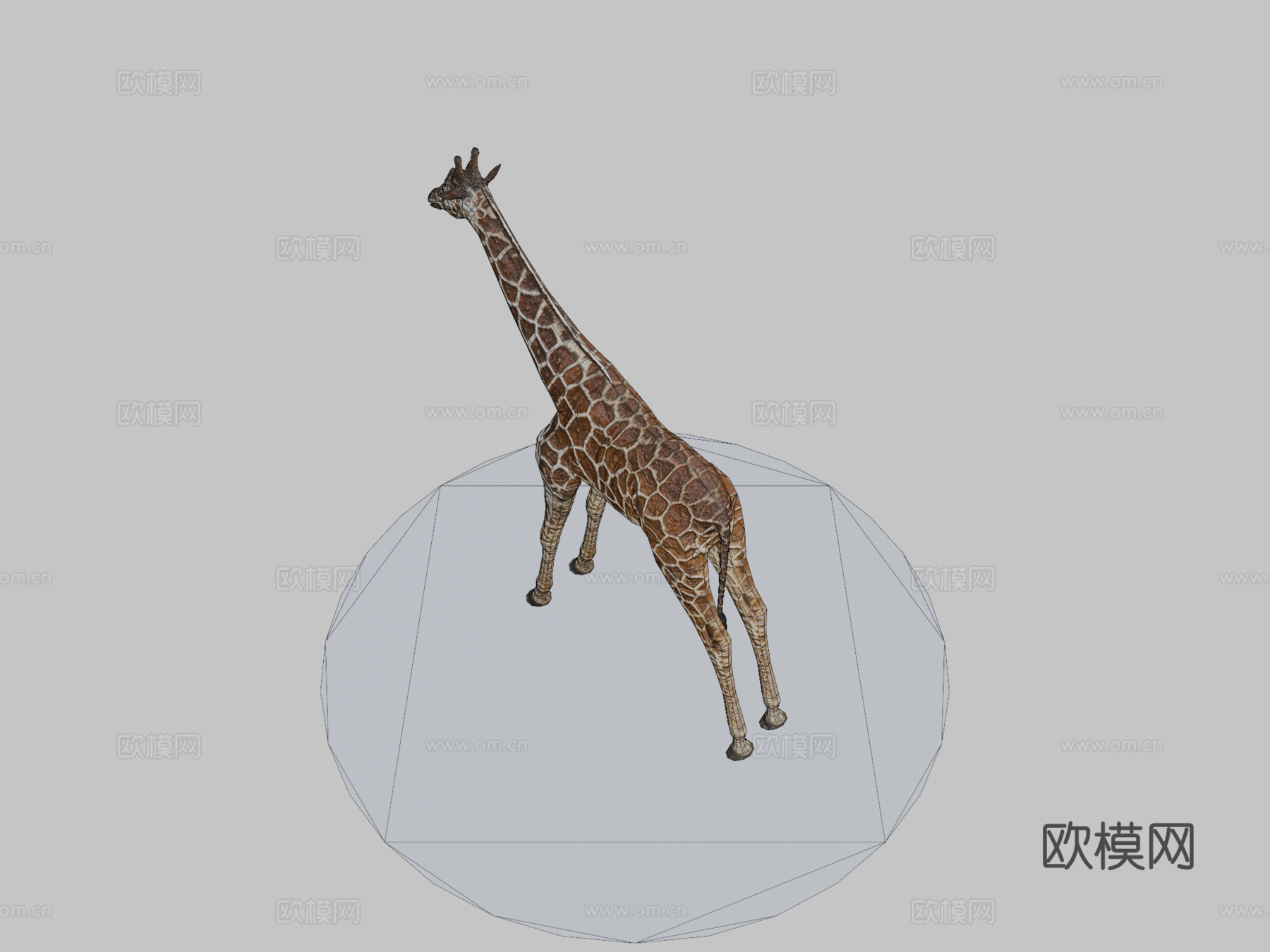 长颈鹿3d模型