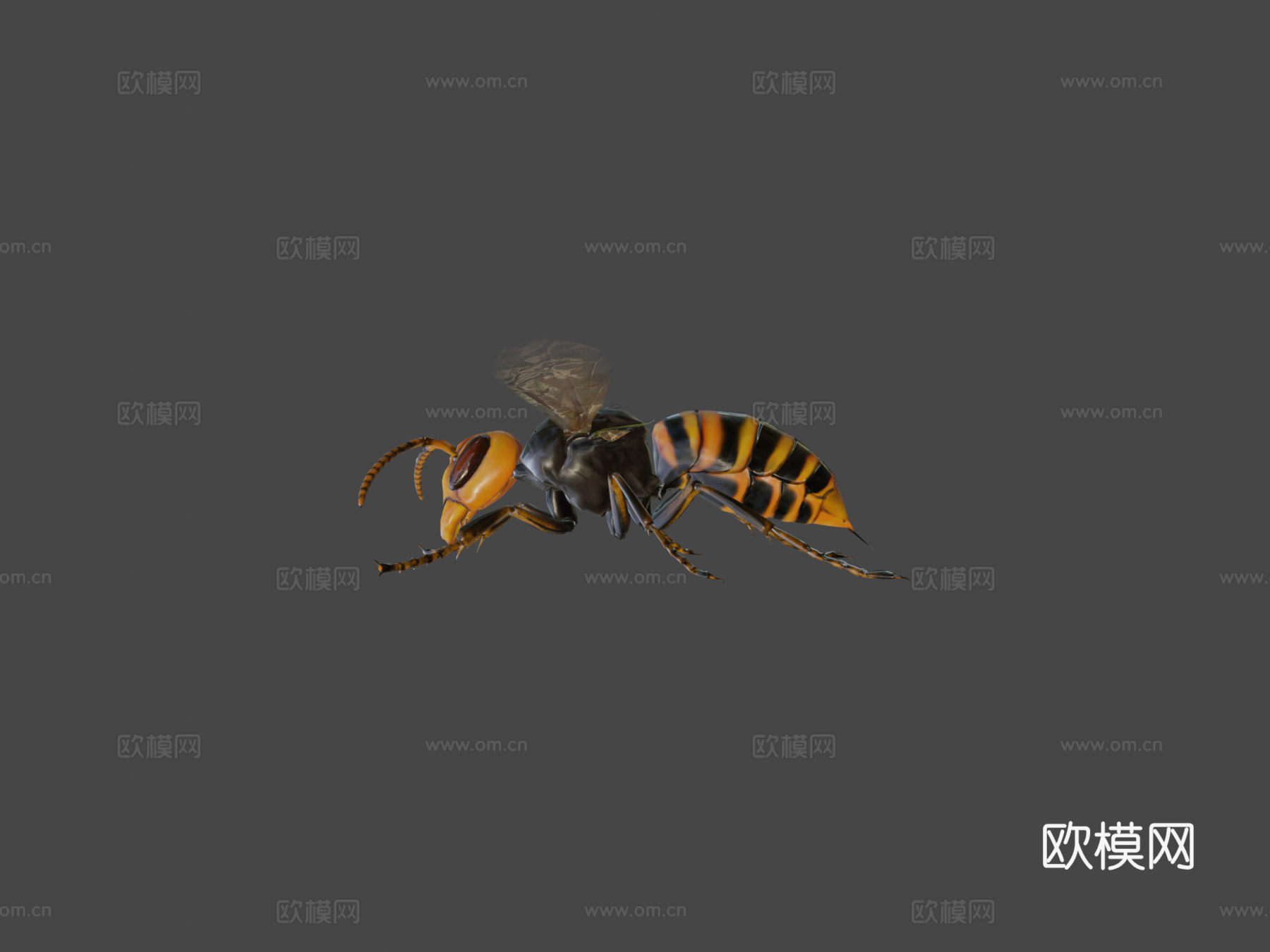 悬浮黄蜂3d模型