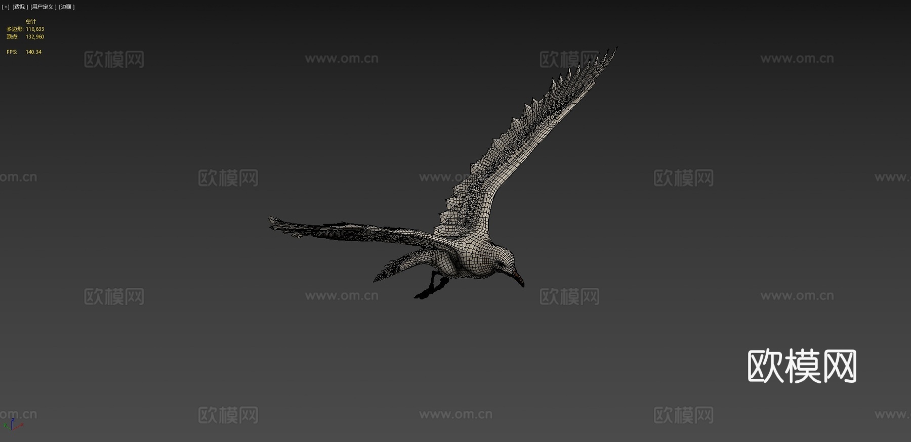 海鸥v13d模型
