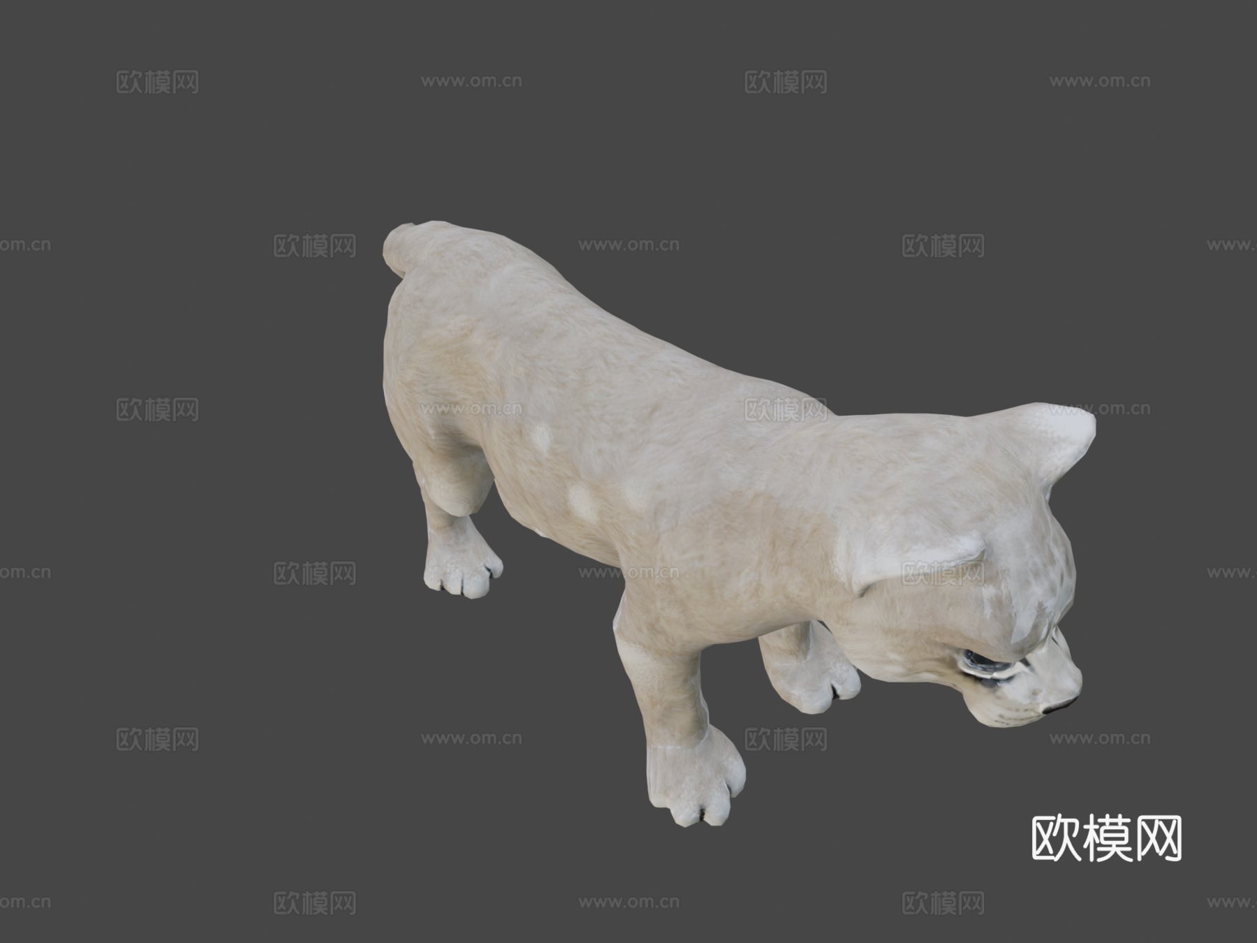 狮子动画低多边形3d模型