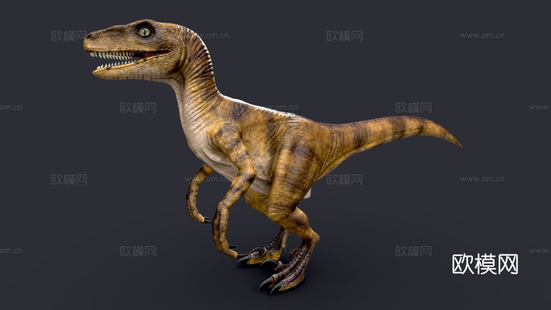 迅猛龙3d模型