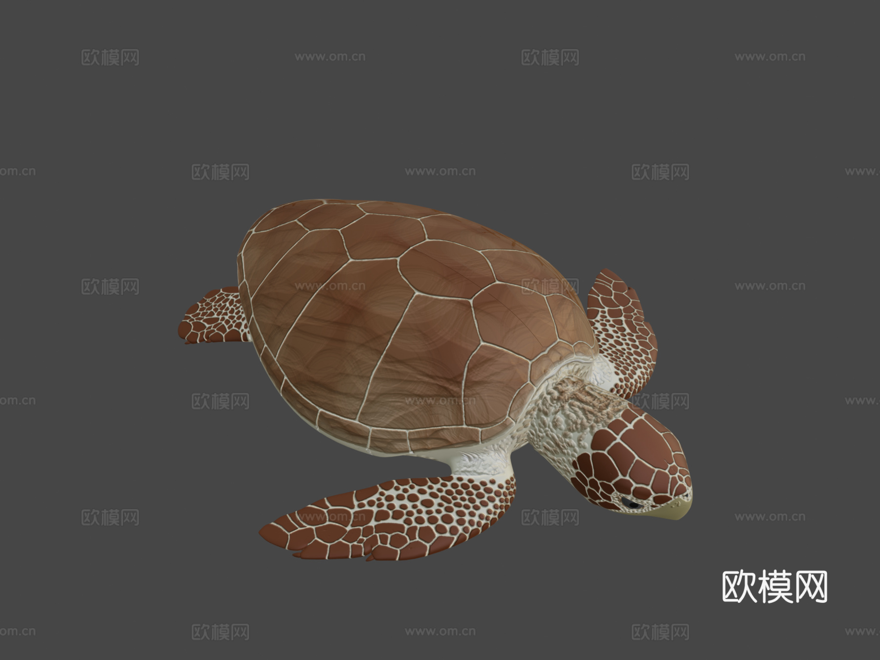 蠵龟3d模型