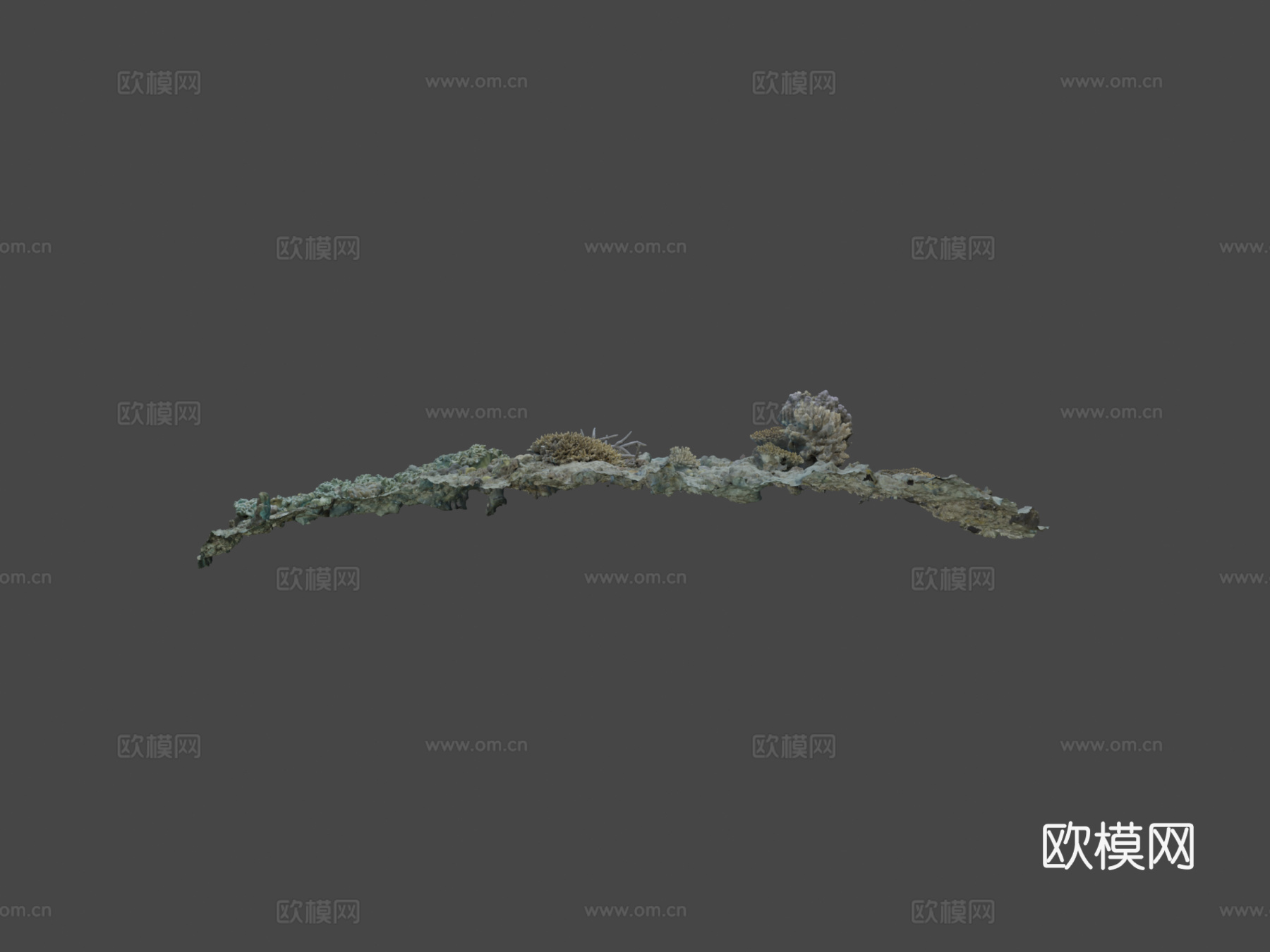水下地形-#Agisoft自然挑战赛3d模型