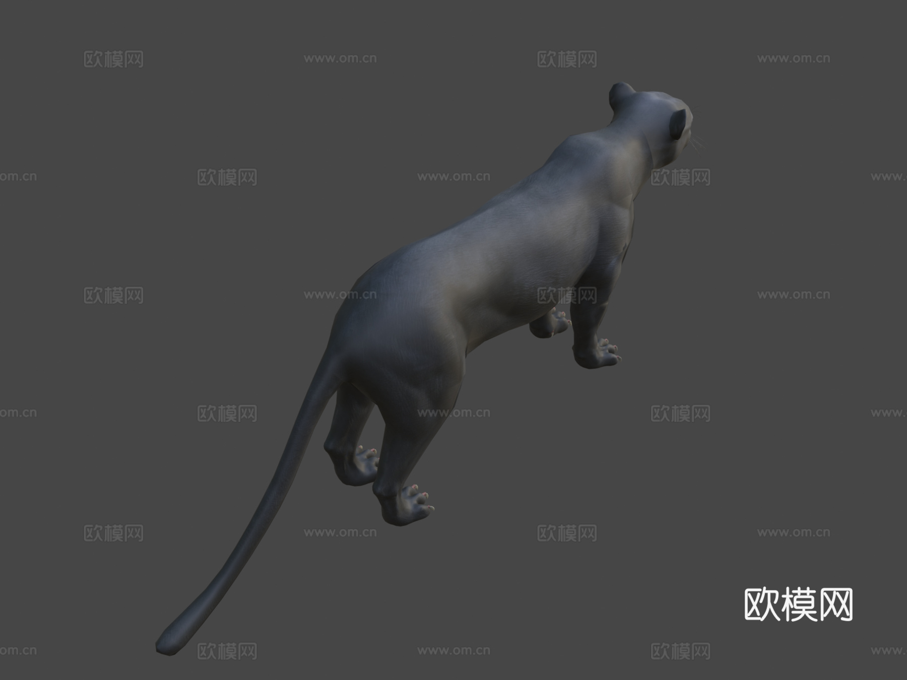 黑豹免费3D模型3d模型