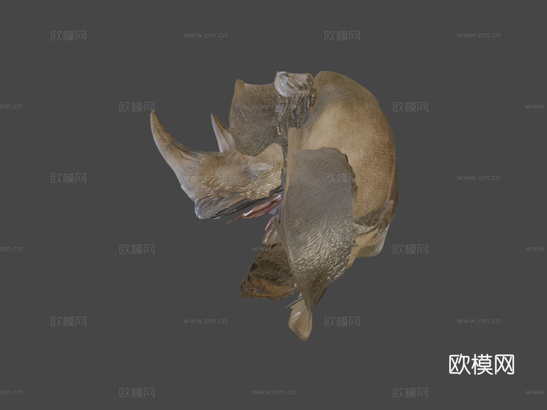 动画犀牛行走动物循环3d模型