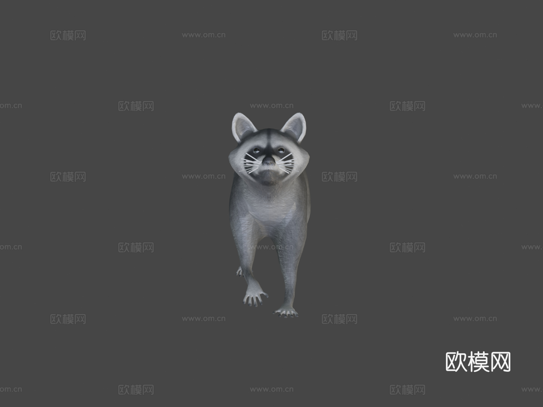 奔跑浣熊动画3d模型