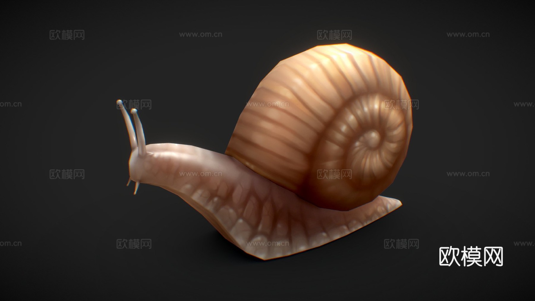 蜗牛3d模型