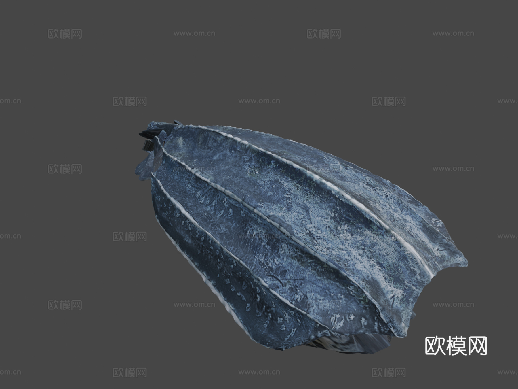 A型-成年棱皮龟=Mac=3d模型