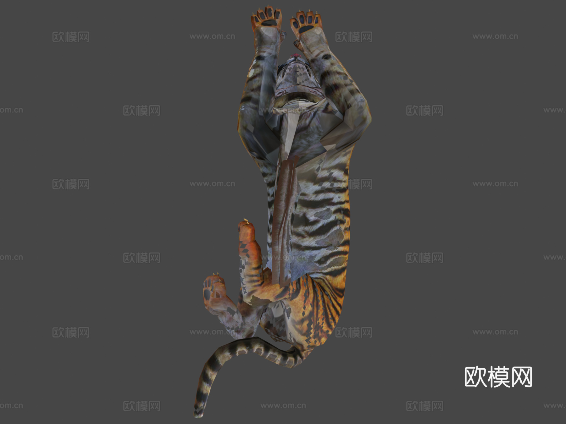 老虎攻击进食v01版(Unity引擎 谢哈布之家)3d模型