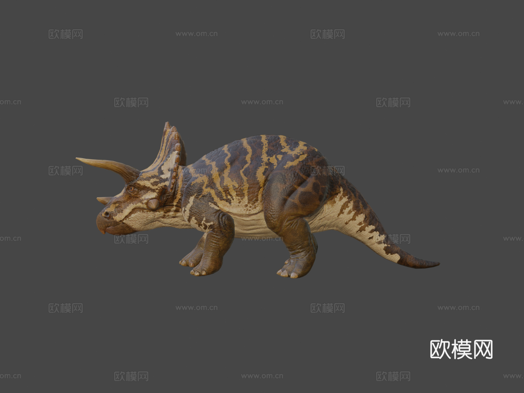 三角龙3d模型