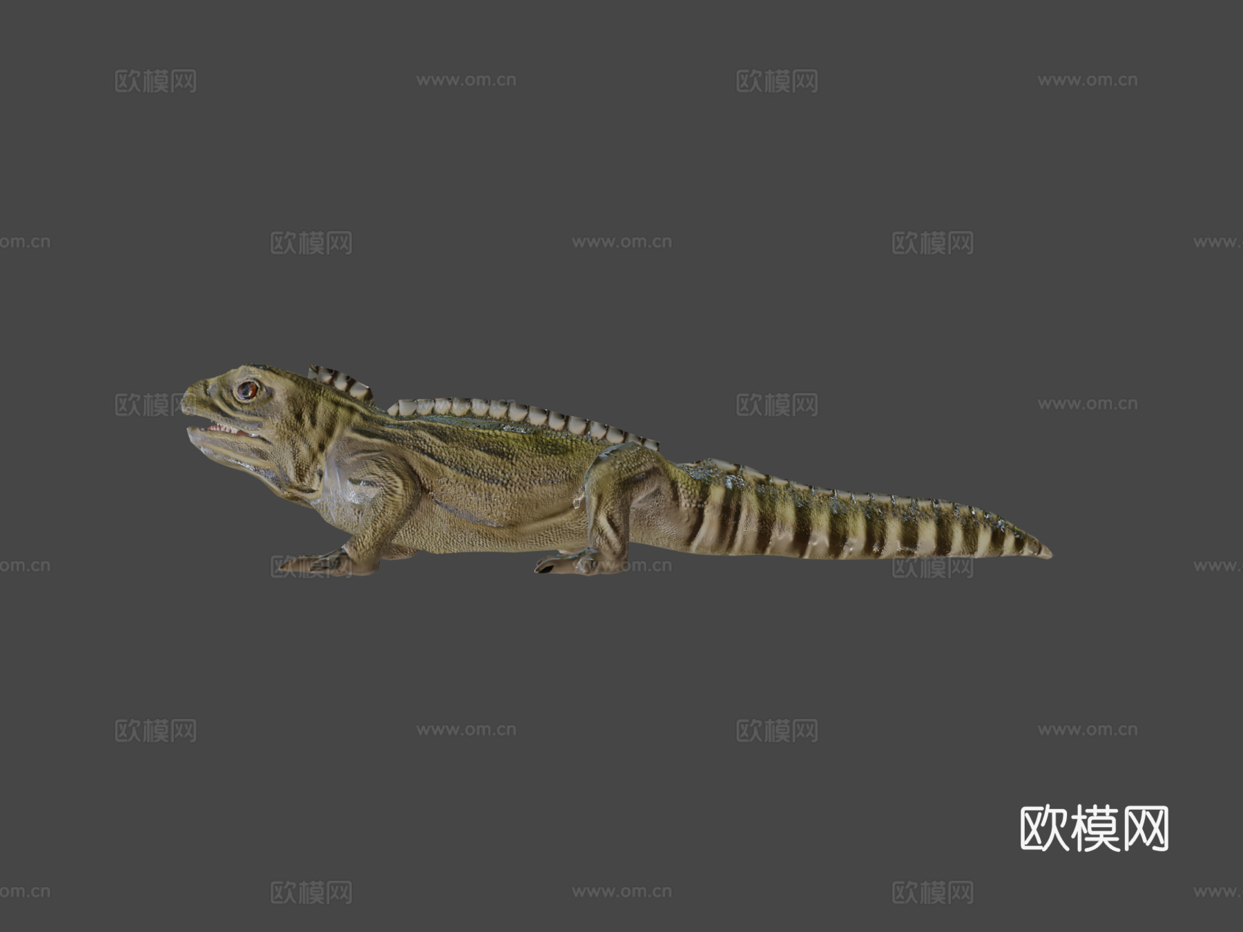 蜥蜴3d模型