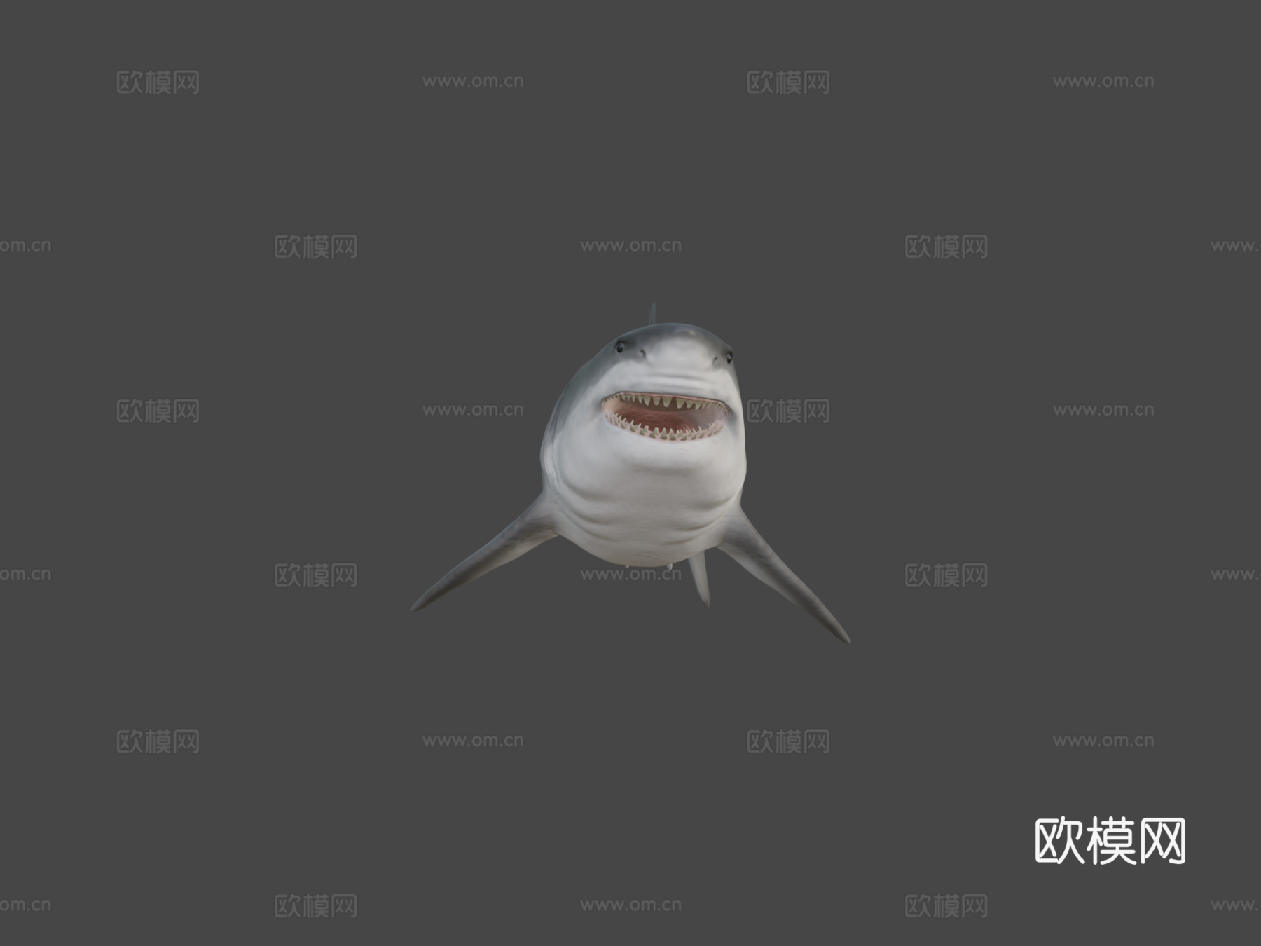 巨齿鲨3d模型