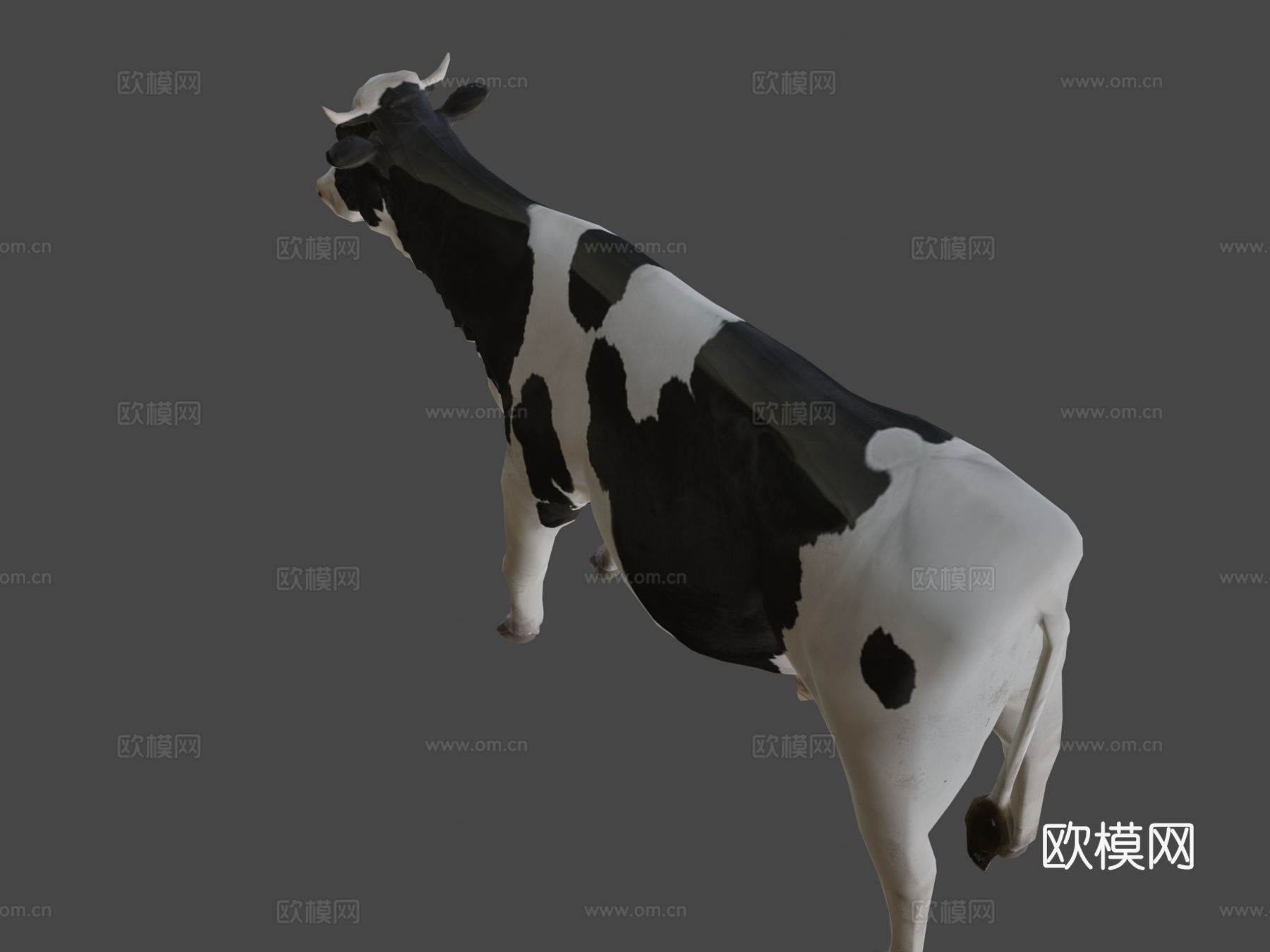 奶牛3d模型