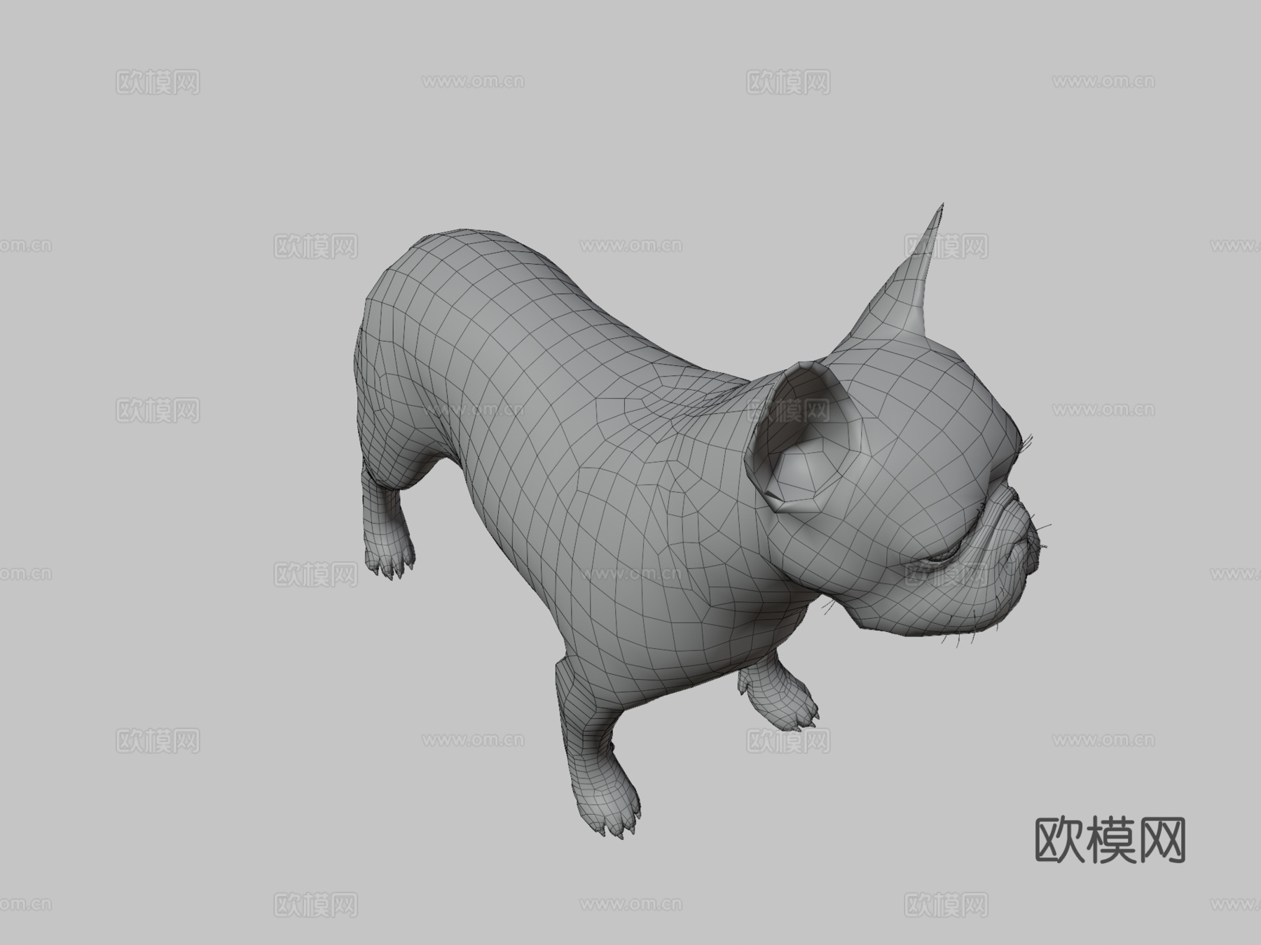 法国斗牛犬3d模型