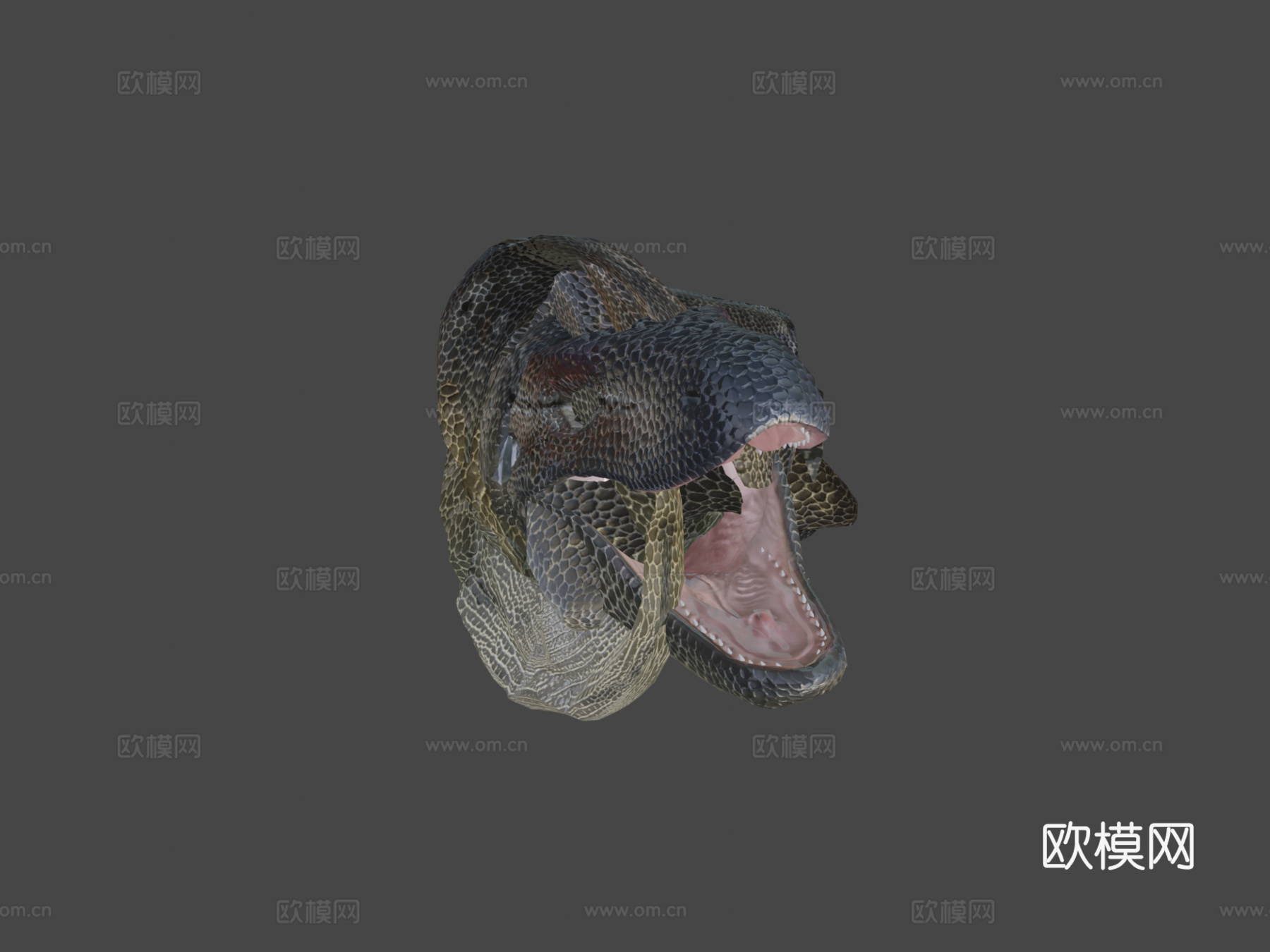 古巨蜥3d模型