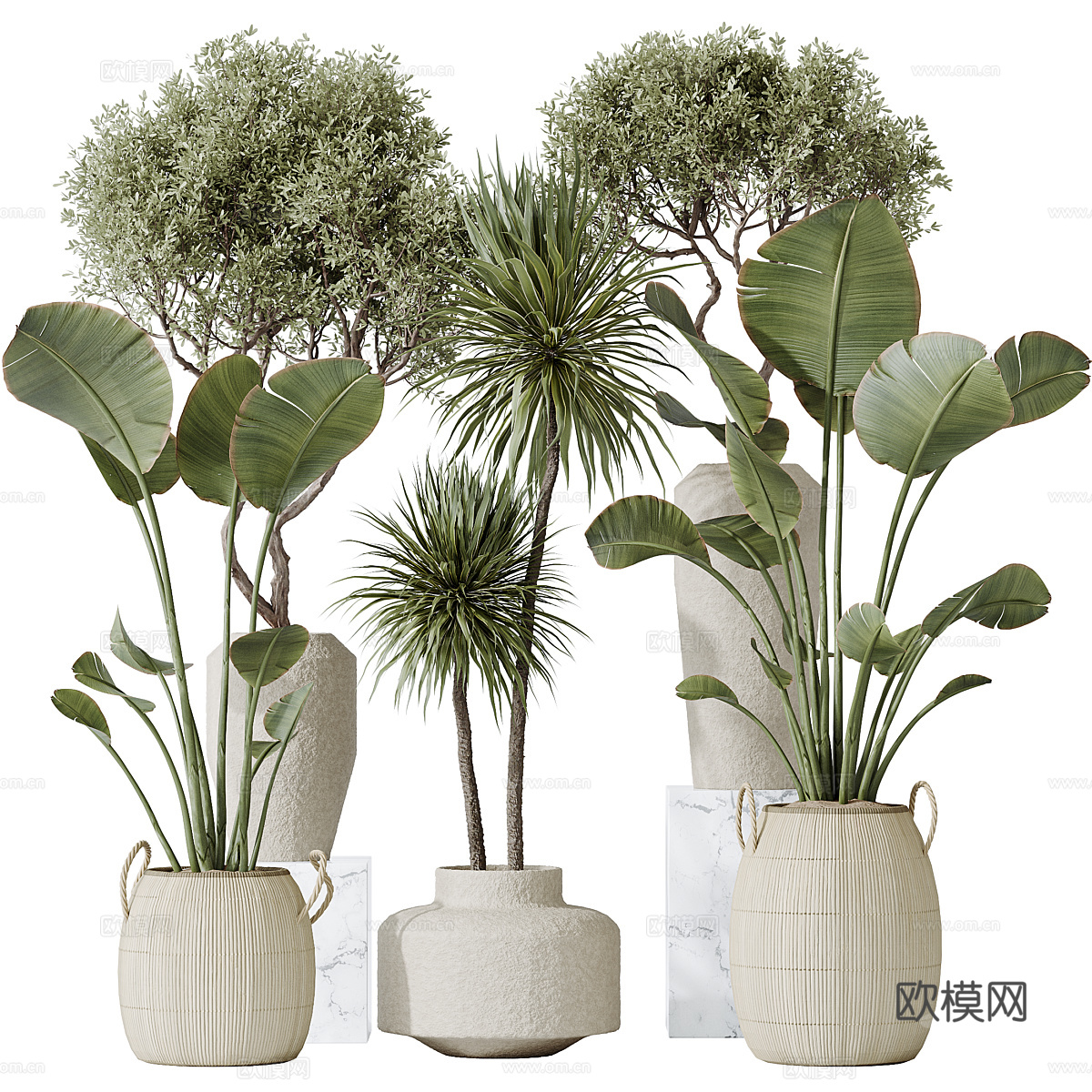 新中式侘寂绿植盆栽3d模型