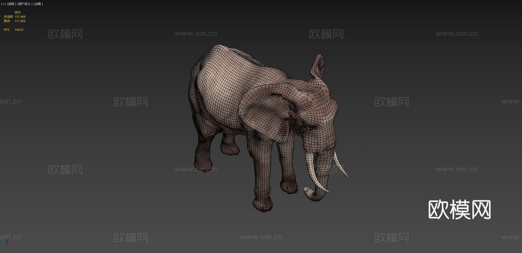 非洲象骨骼3d模型