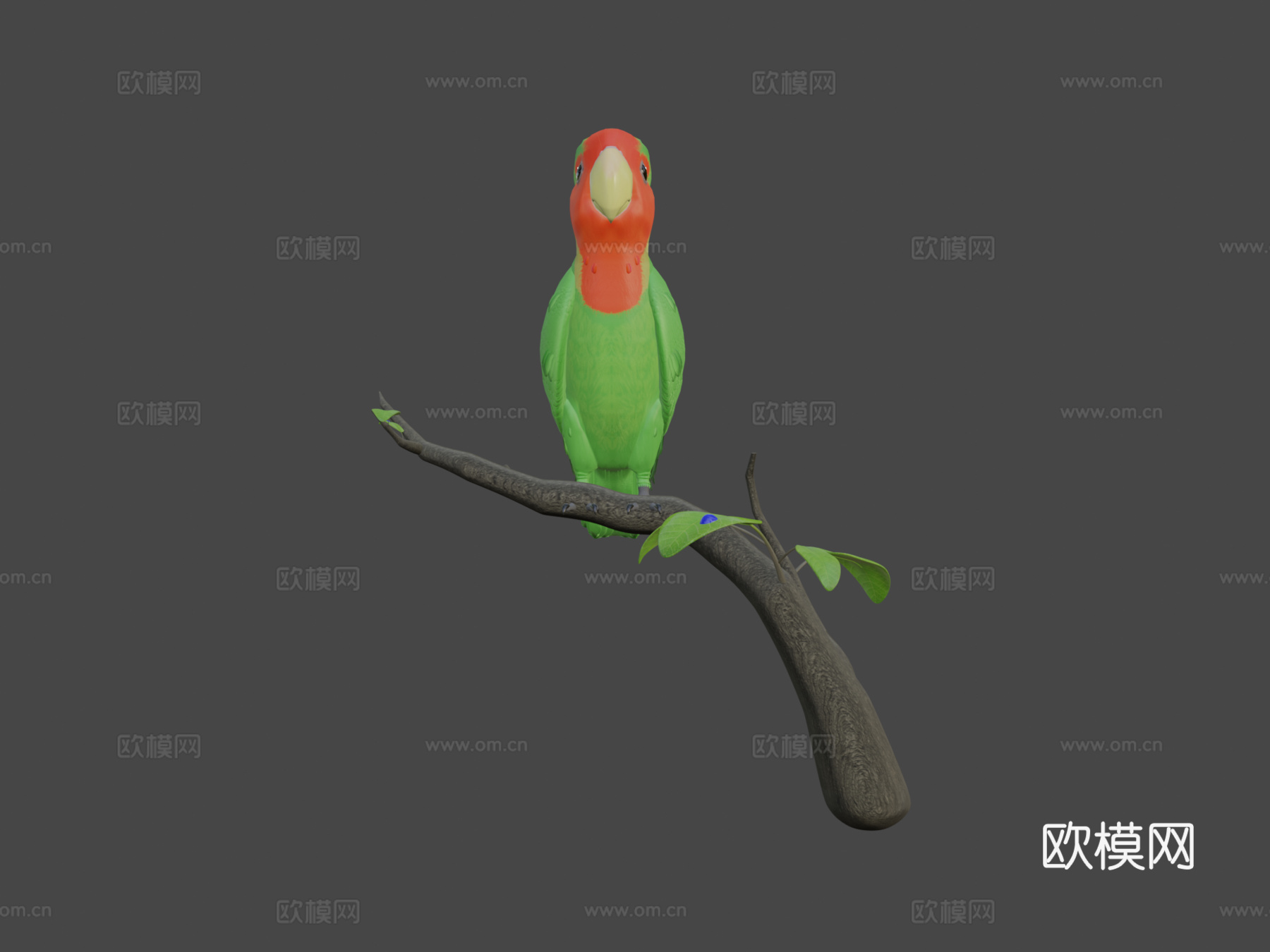 鸟类3d模型