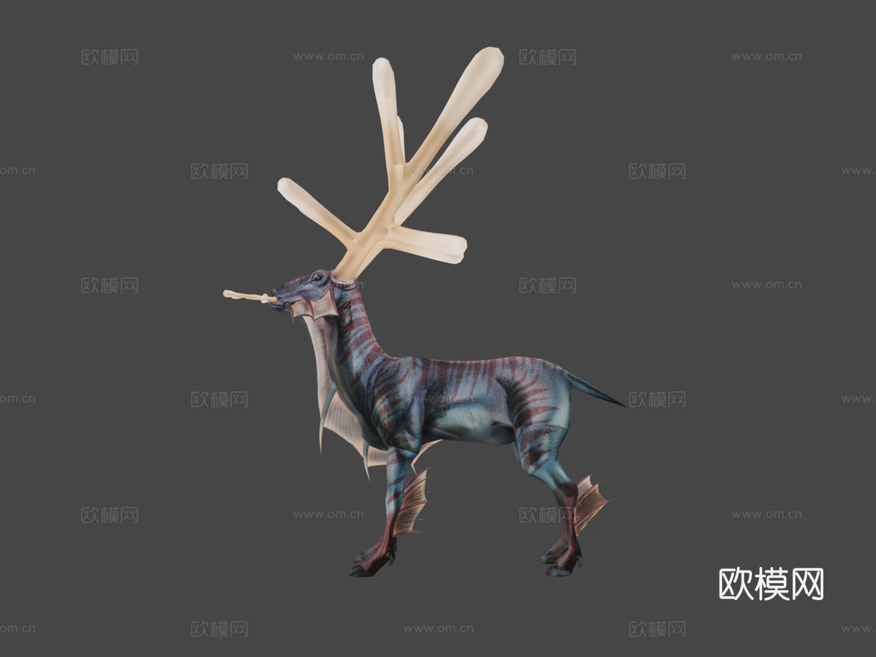 海葵鹿3d模型