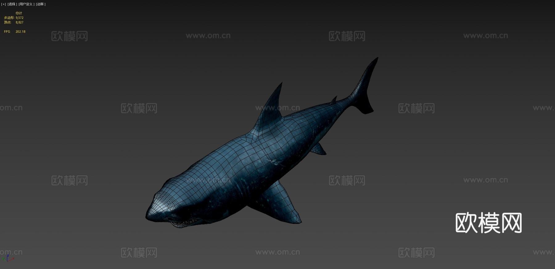 鲨鱼3d模型
