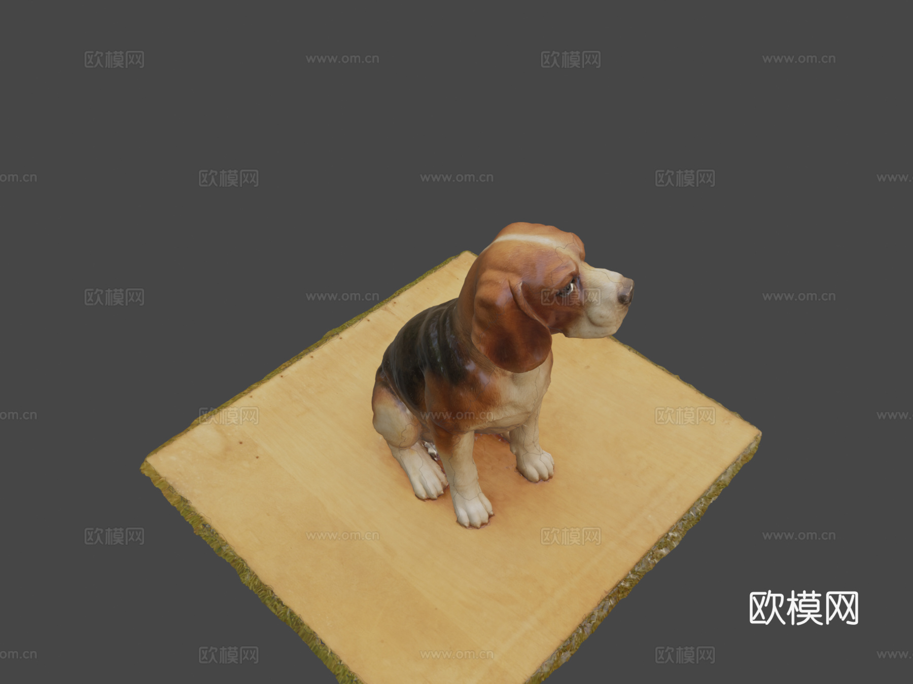 比格犬3d模型