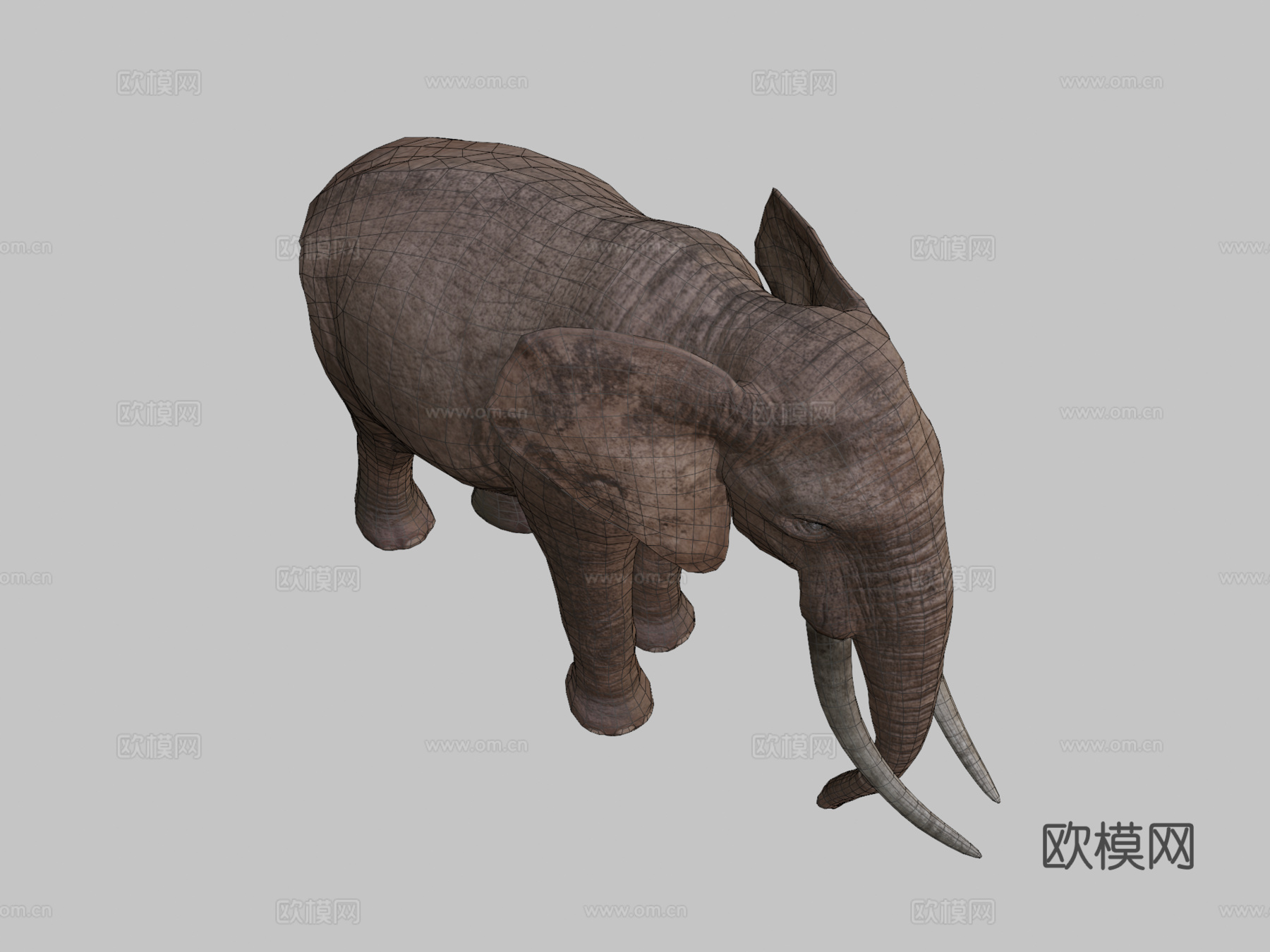 真实大象3d模型