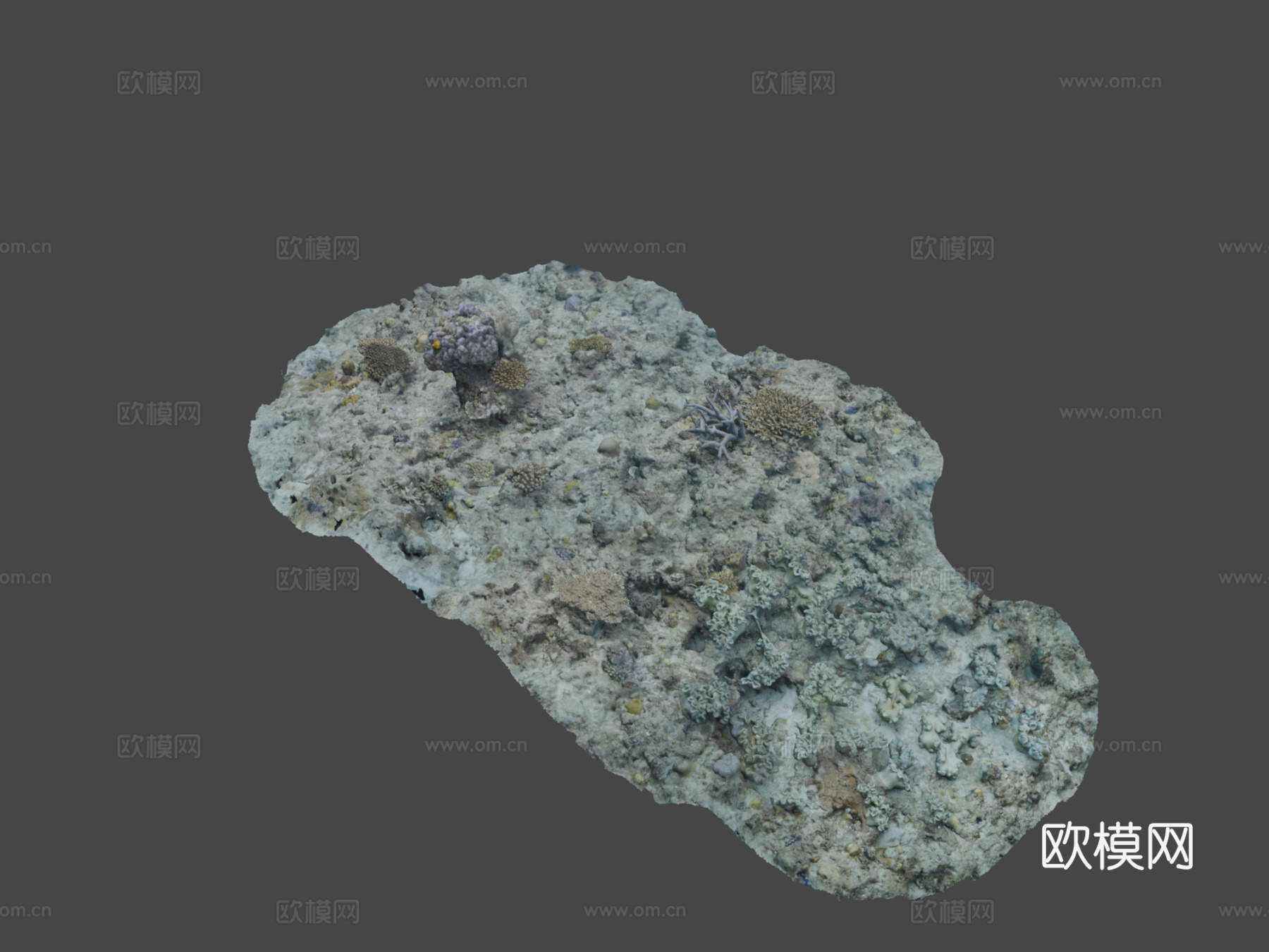 水下地形-#Agisoft自然挑战赛3d模型