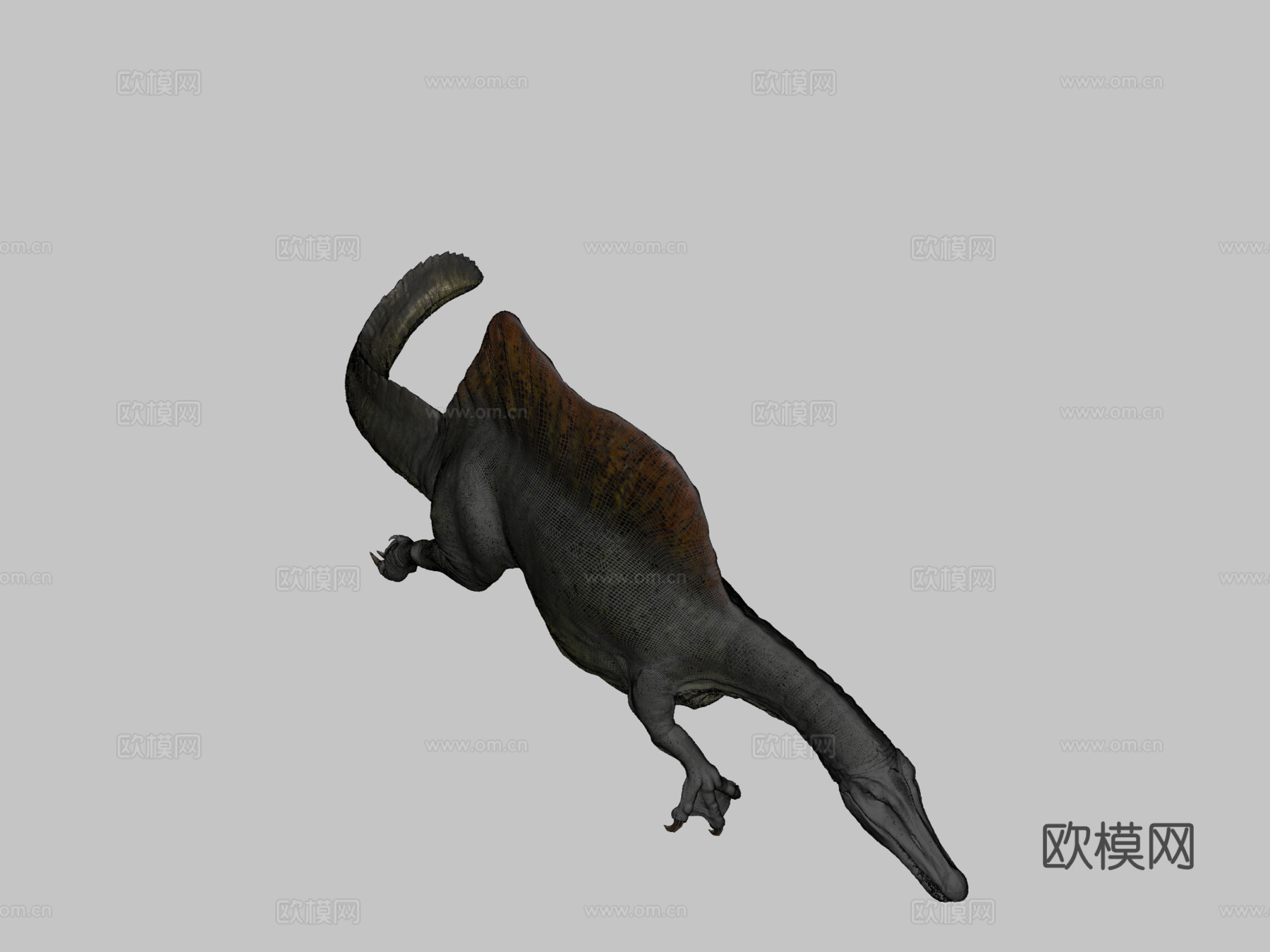 棘龙3d模型