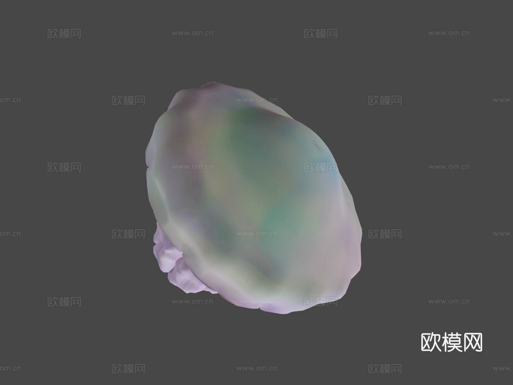 水母_0033d模型
