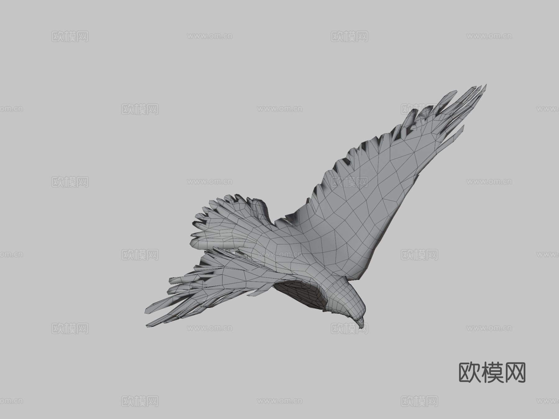 动画鹰3d模型