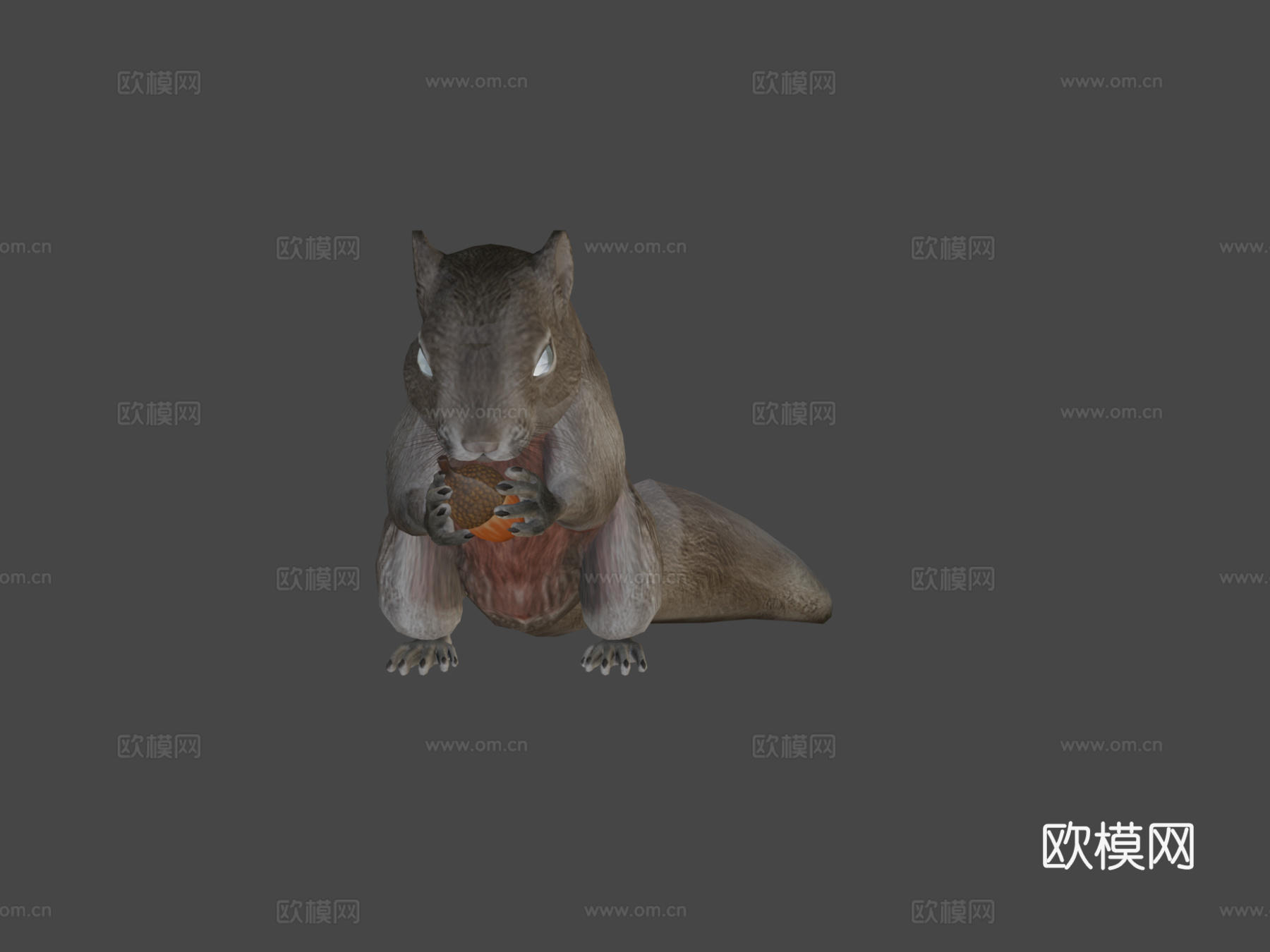 松鼠动画3d模型