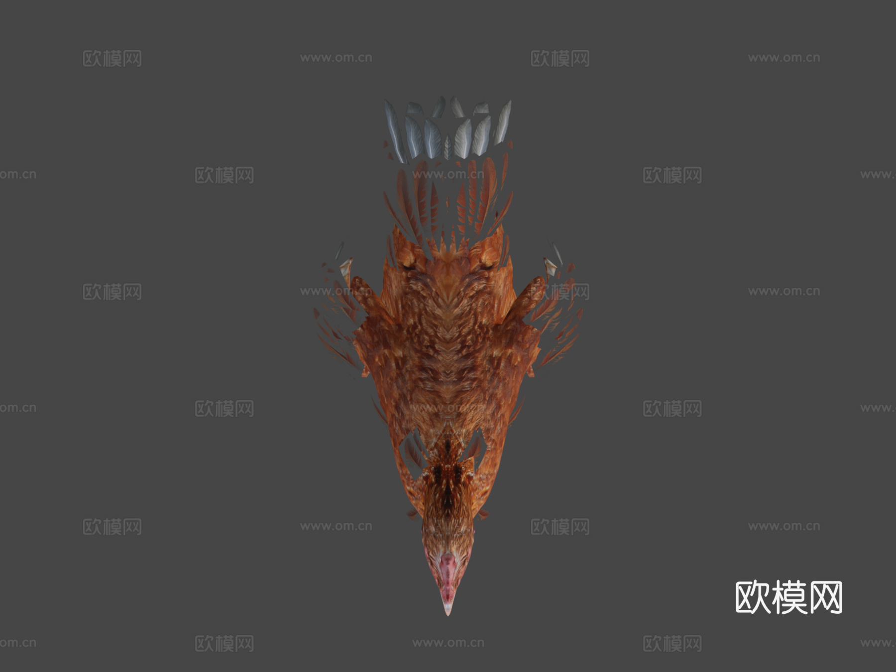 鸡3d模型