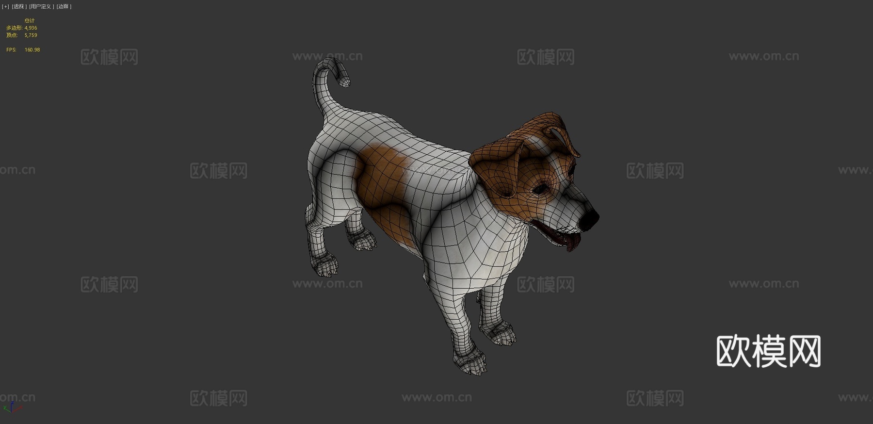 狗-杰克罗素梗犬3d模型
