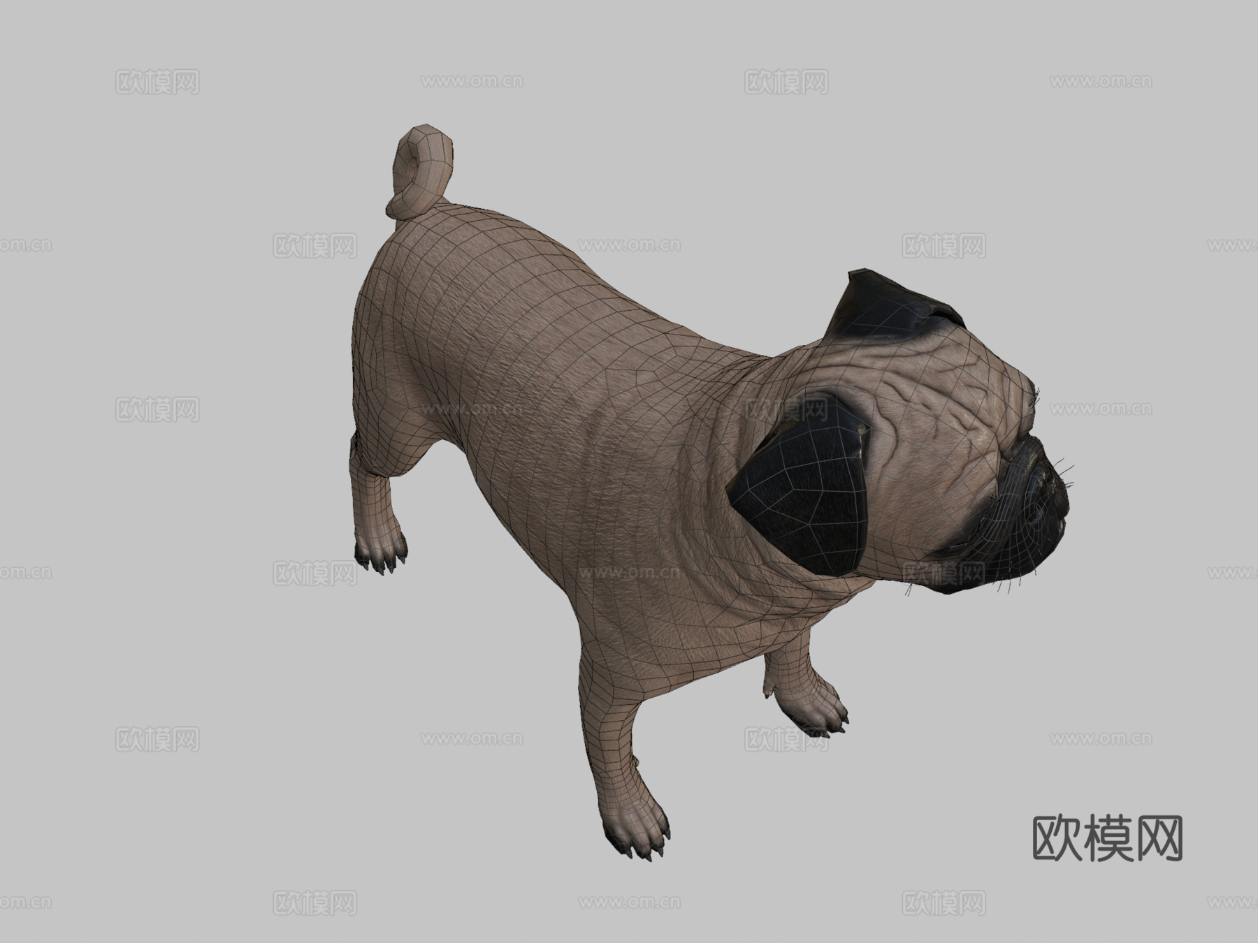 哈巴狗3d模型