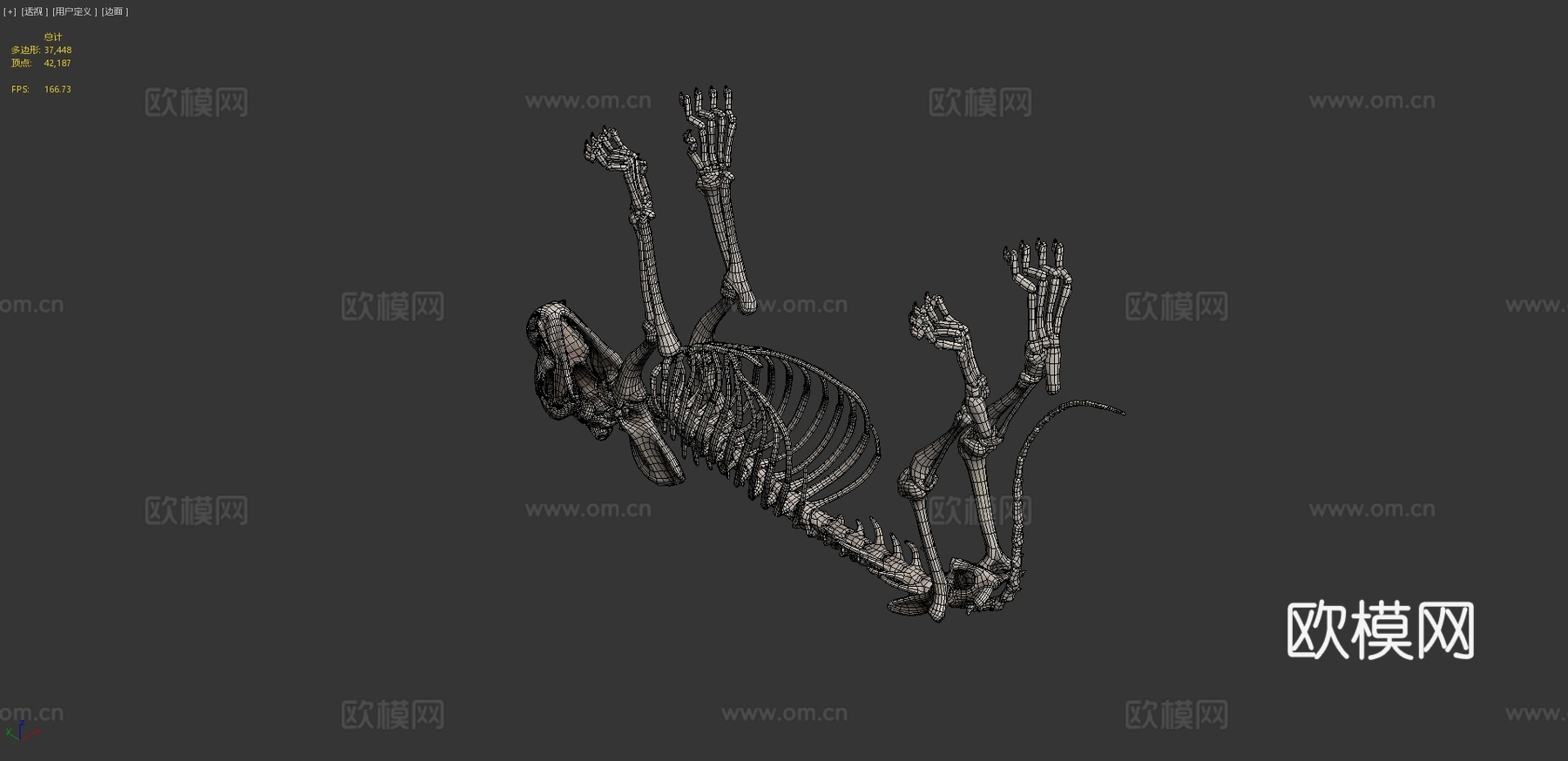 狮子骨架3d模型