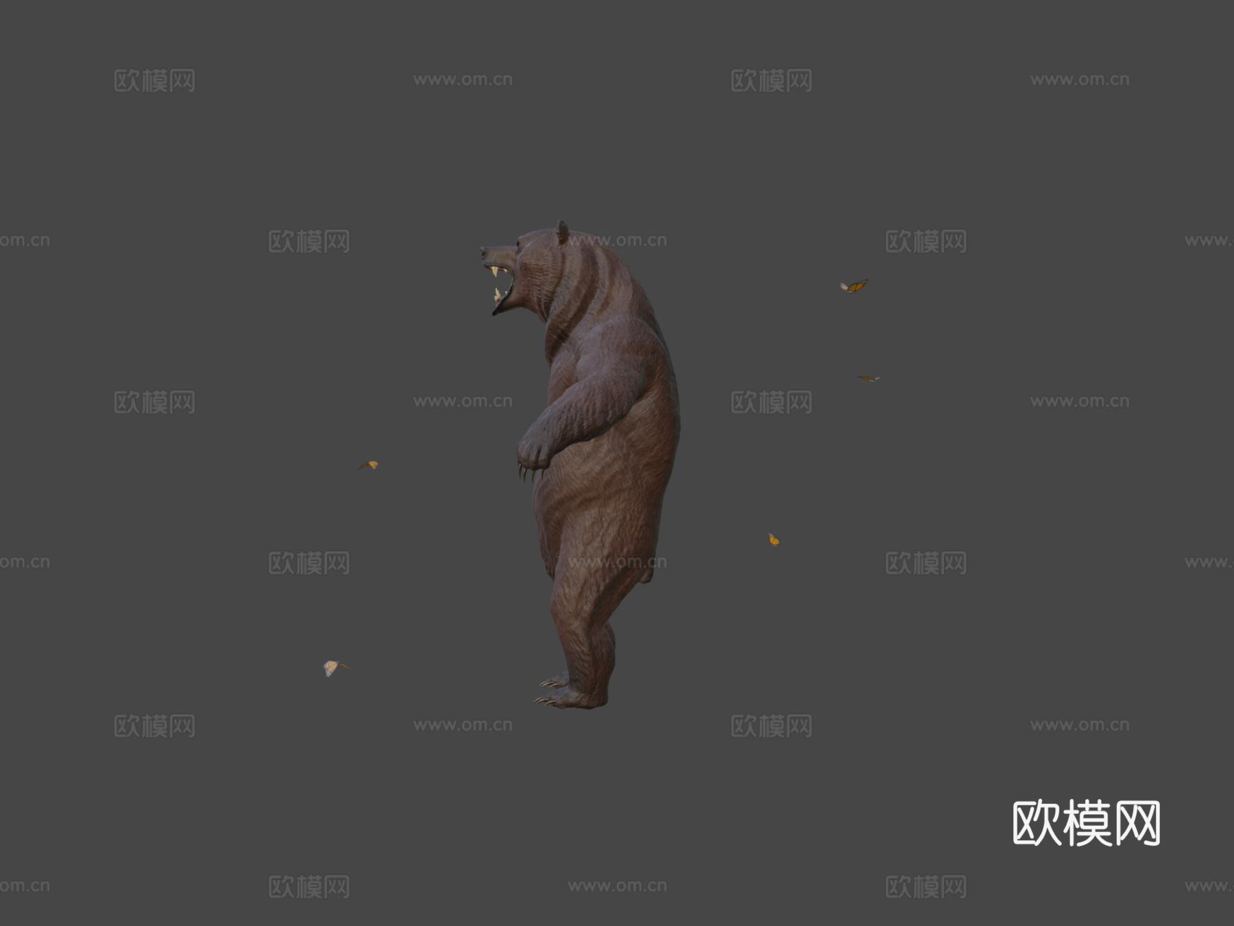 强壮熊3d模型