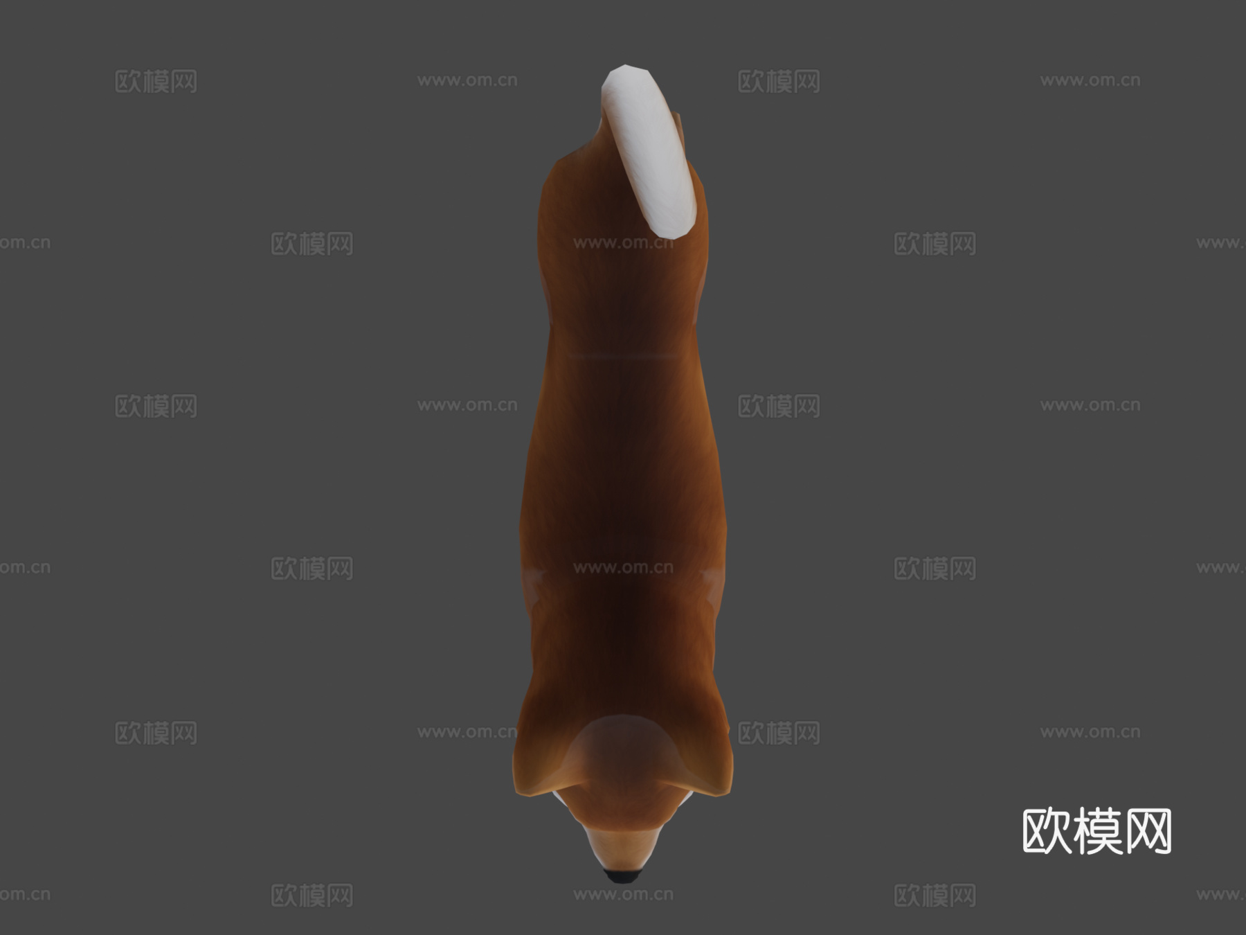 柴犬3d模型