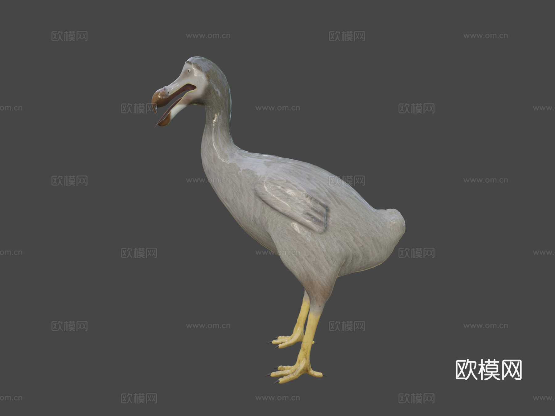 渡渡鸟[灭绝鸟类]3d模型